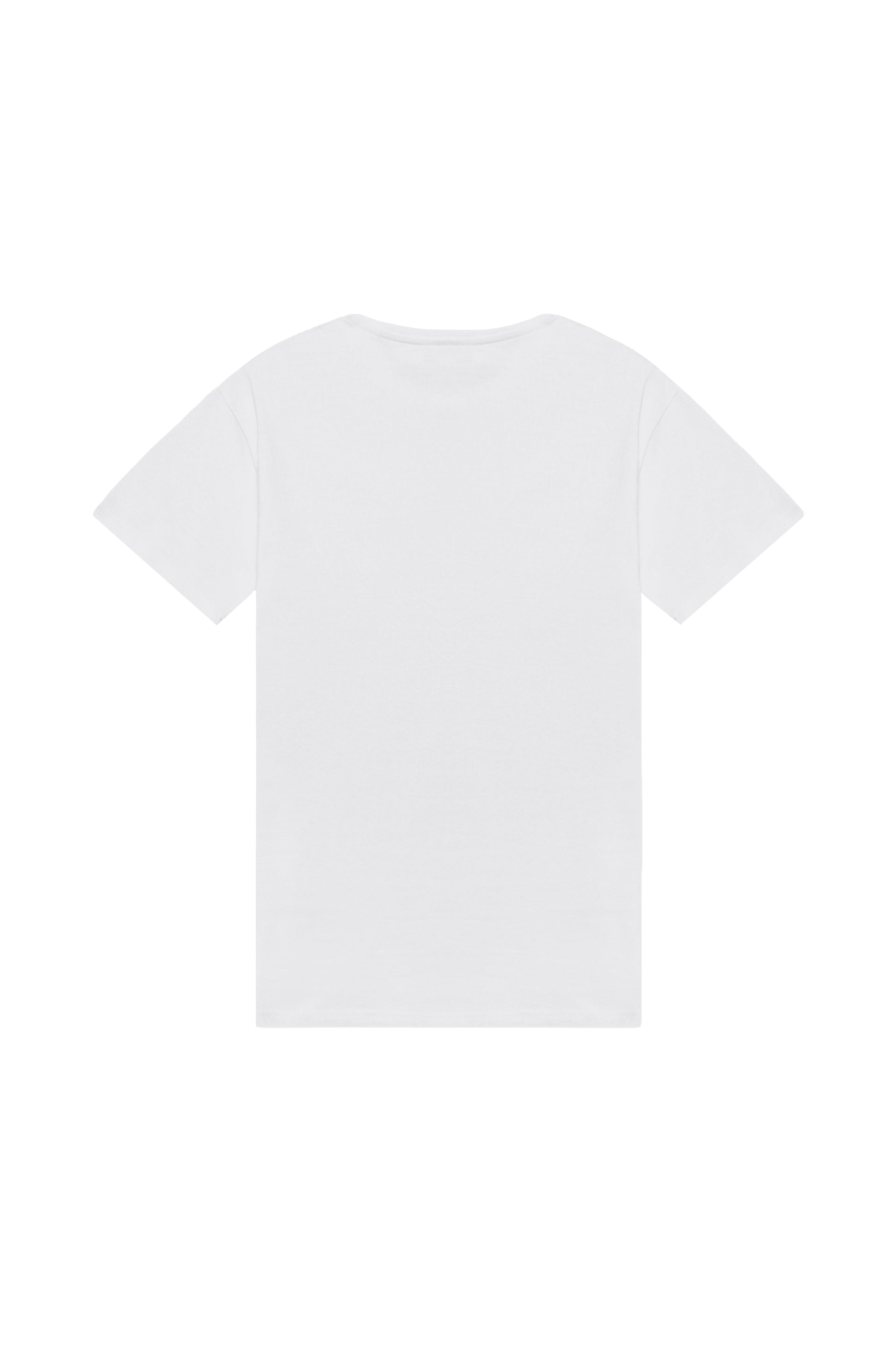 Oversized T-shirt in 2 variants