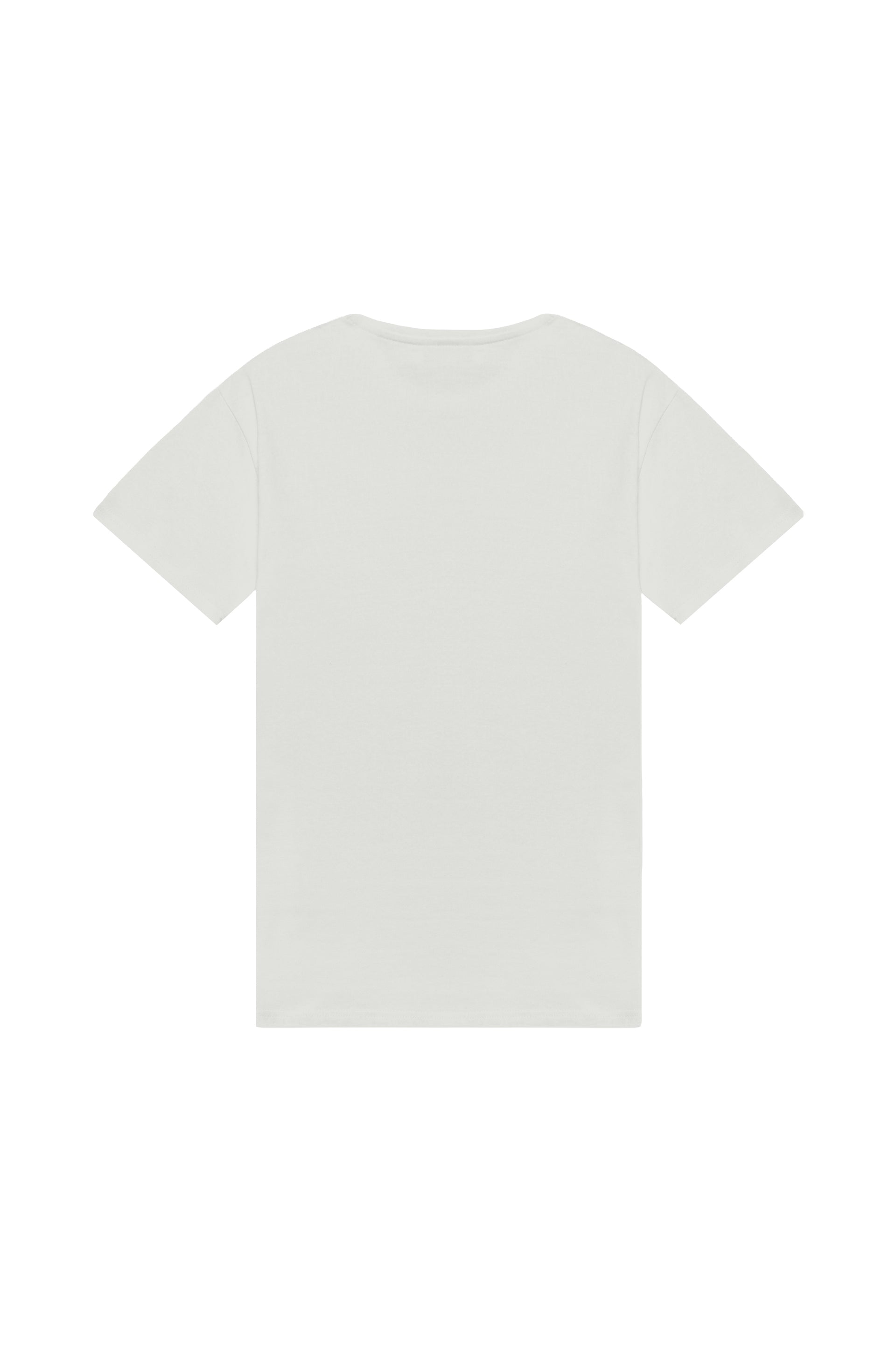 Oversized T-shirt in 2 variants