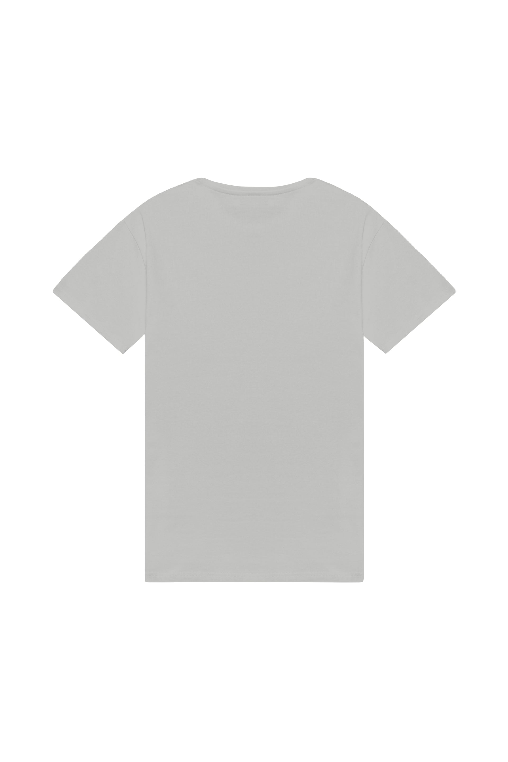 Oversized T-shirt in 2 variants
