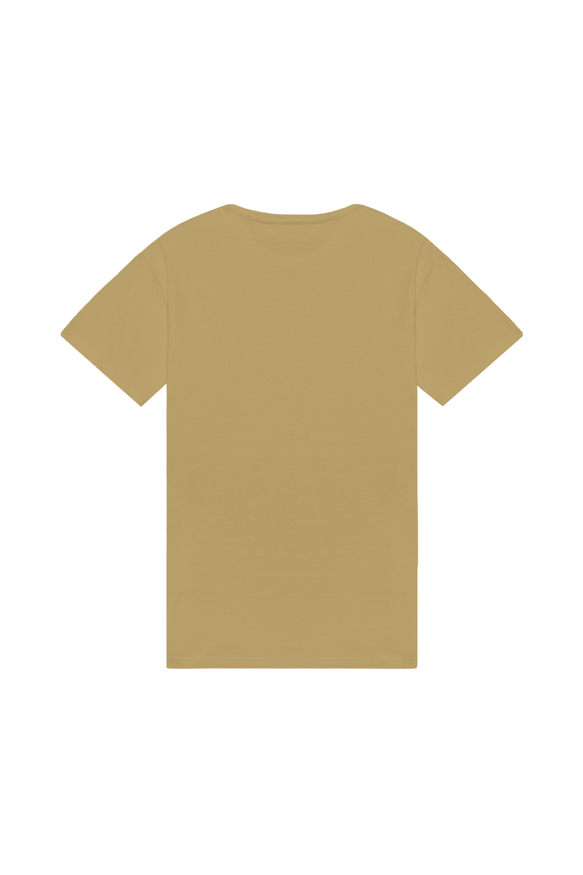 Oversized T-shirt in 2 variants
