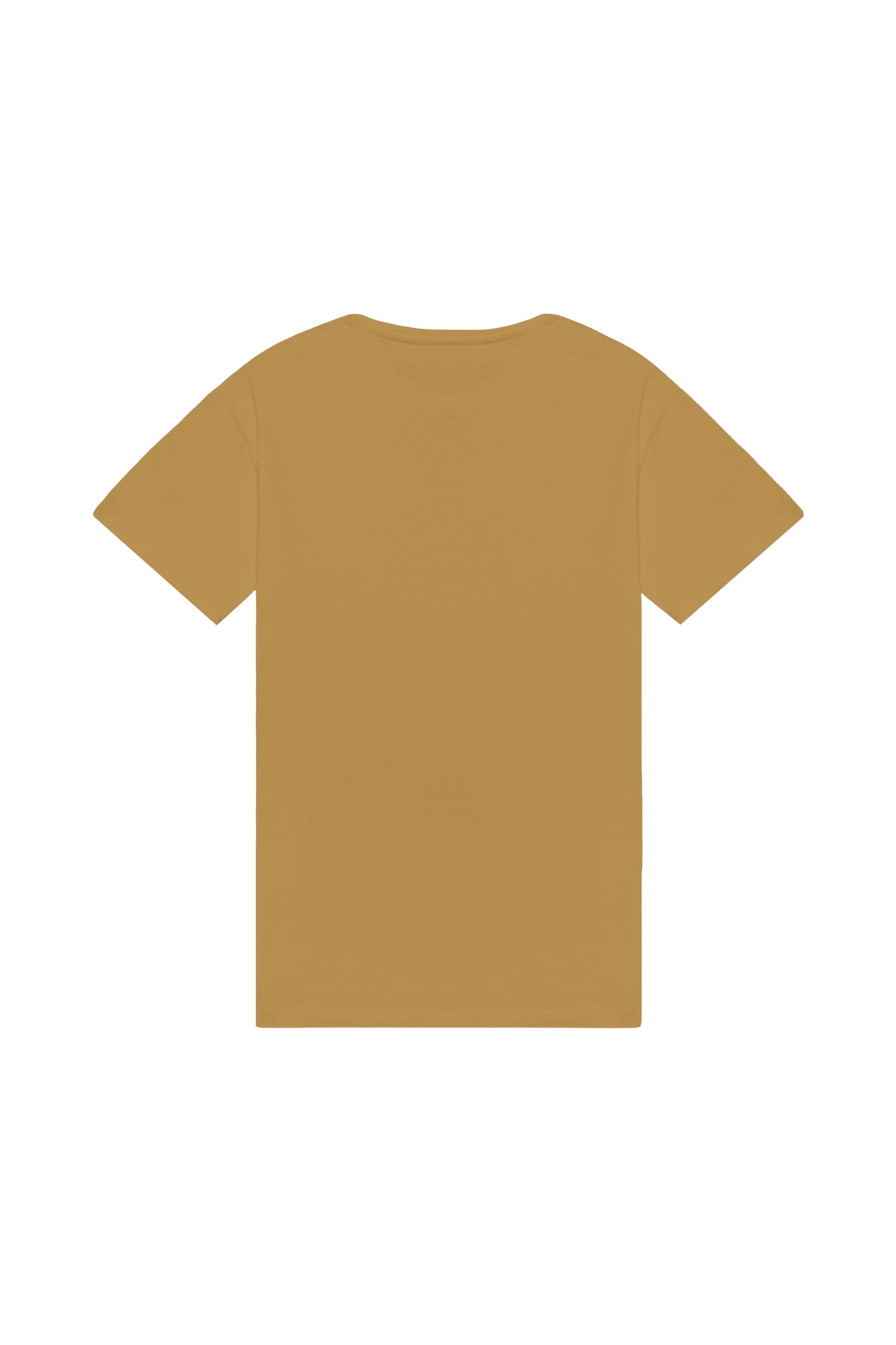 Oversized T-shirt in 2 variants