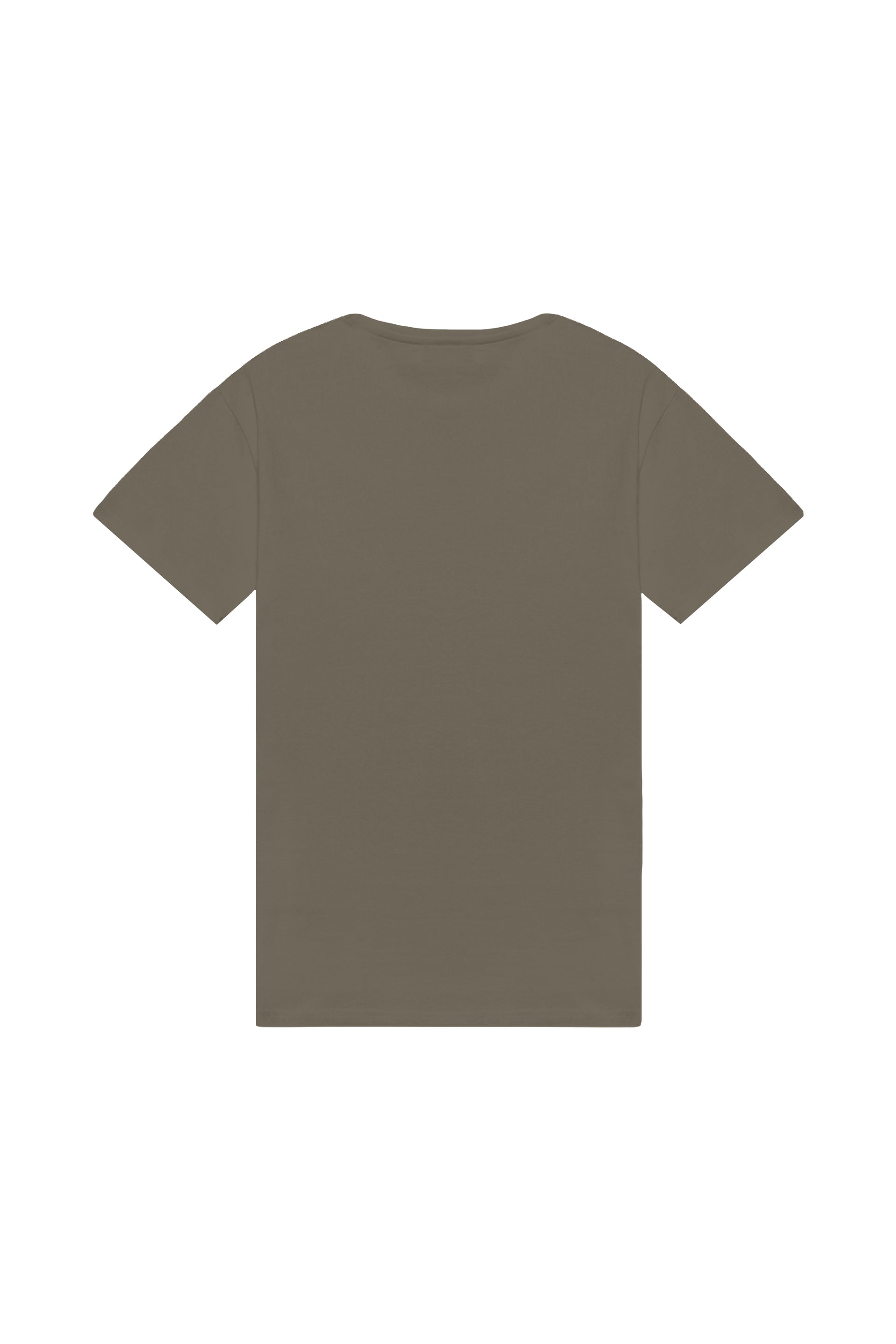 Oversized T-shirt in 2 variants