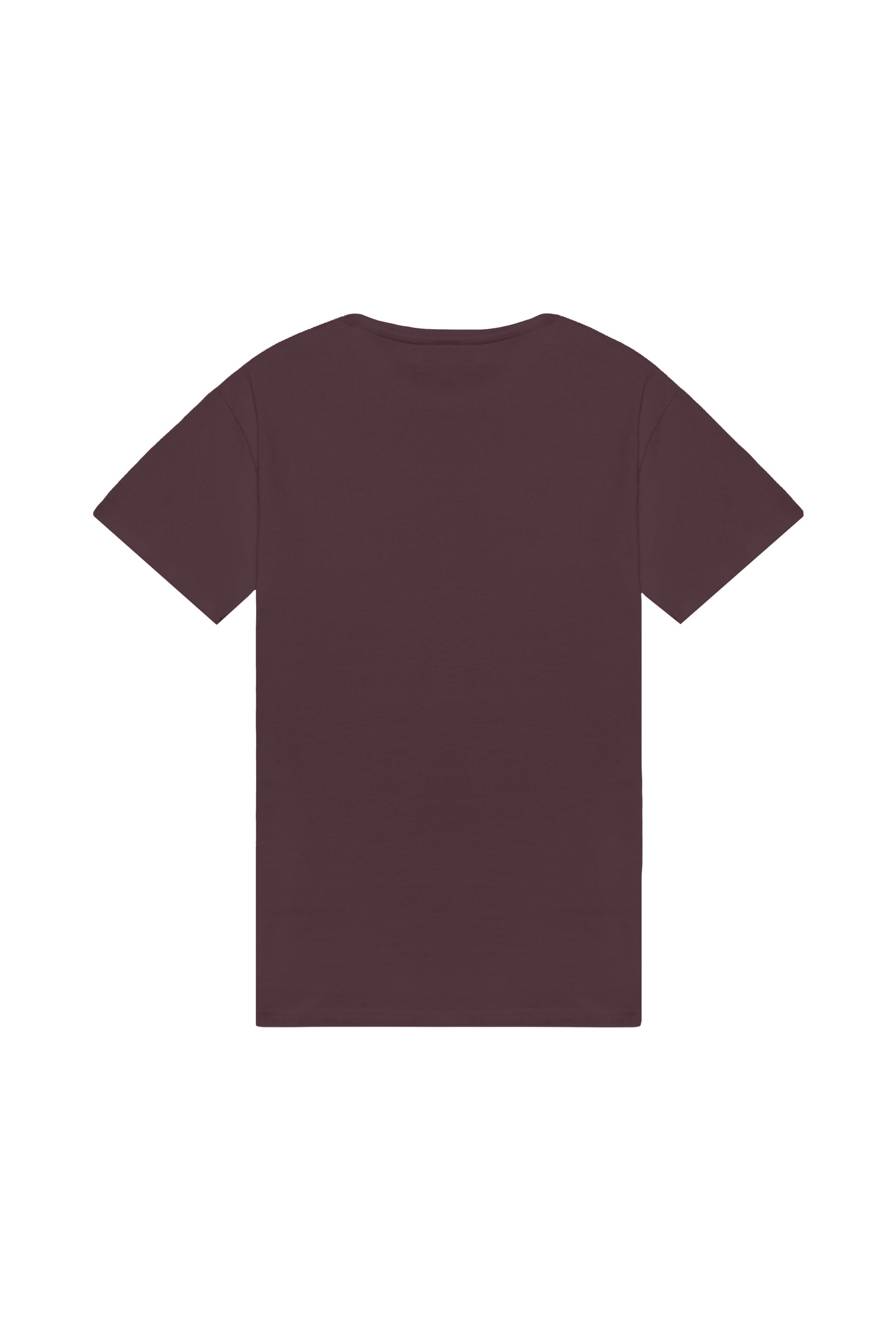 Oversized T-shirt in 2 variants
