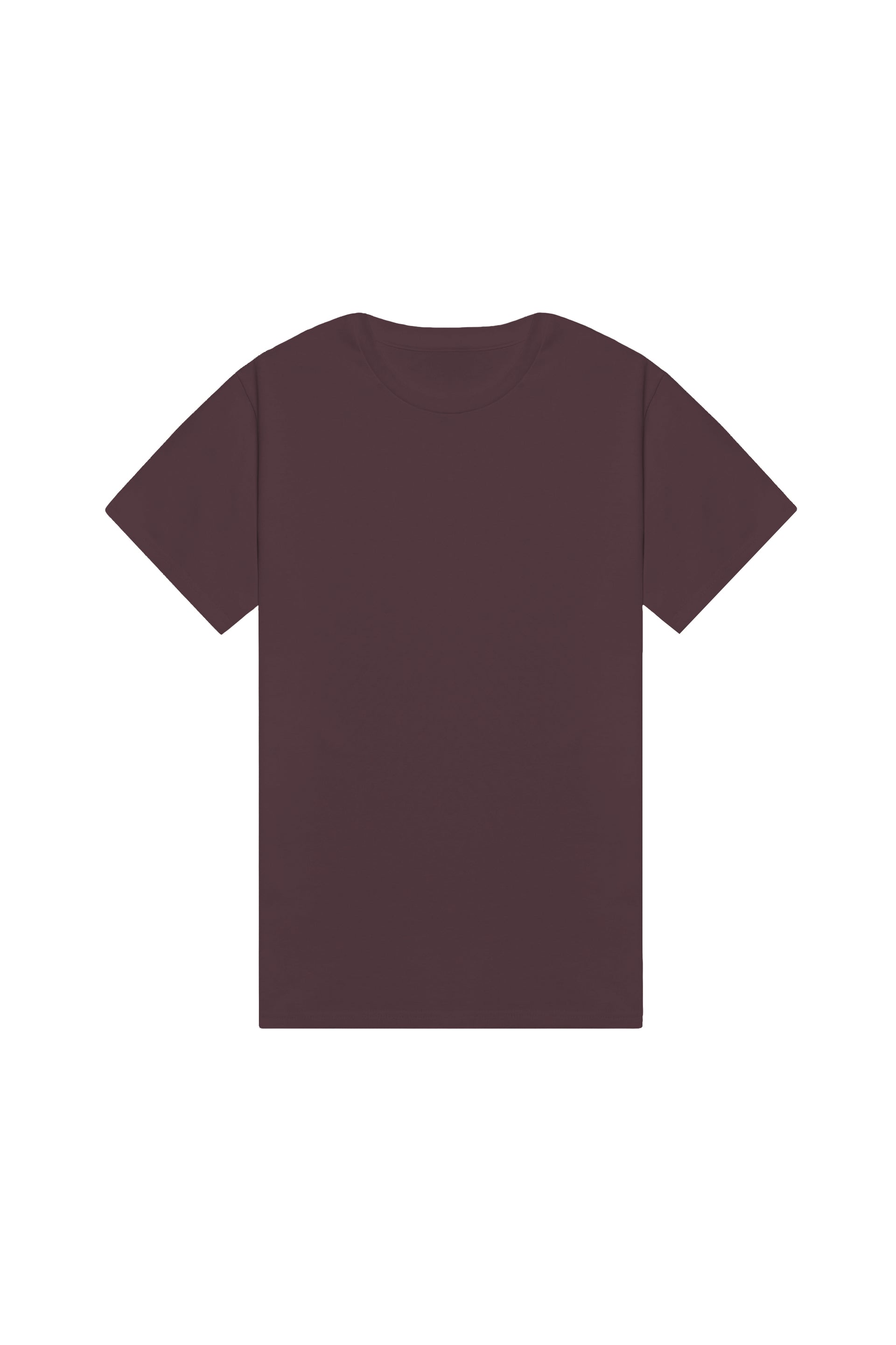 Oversized T-shirt in 2 variants
