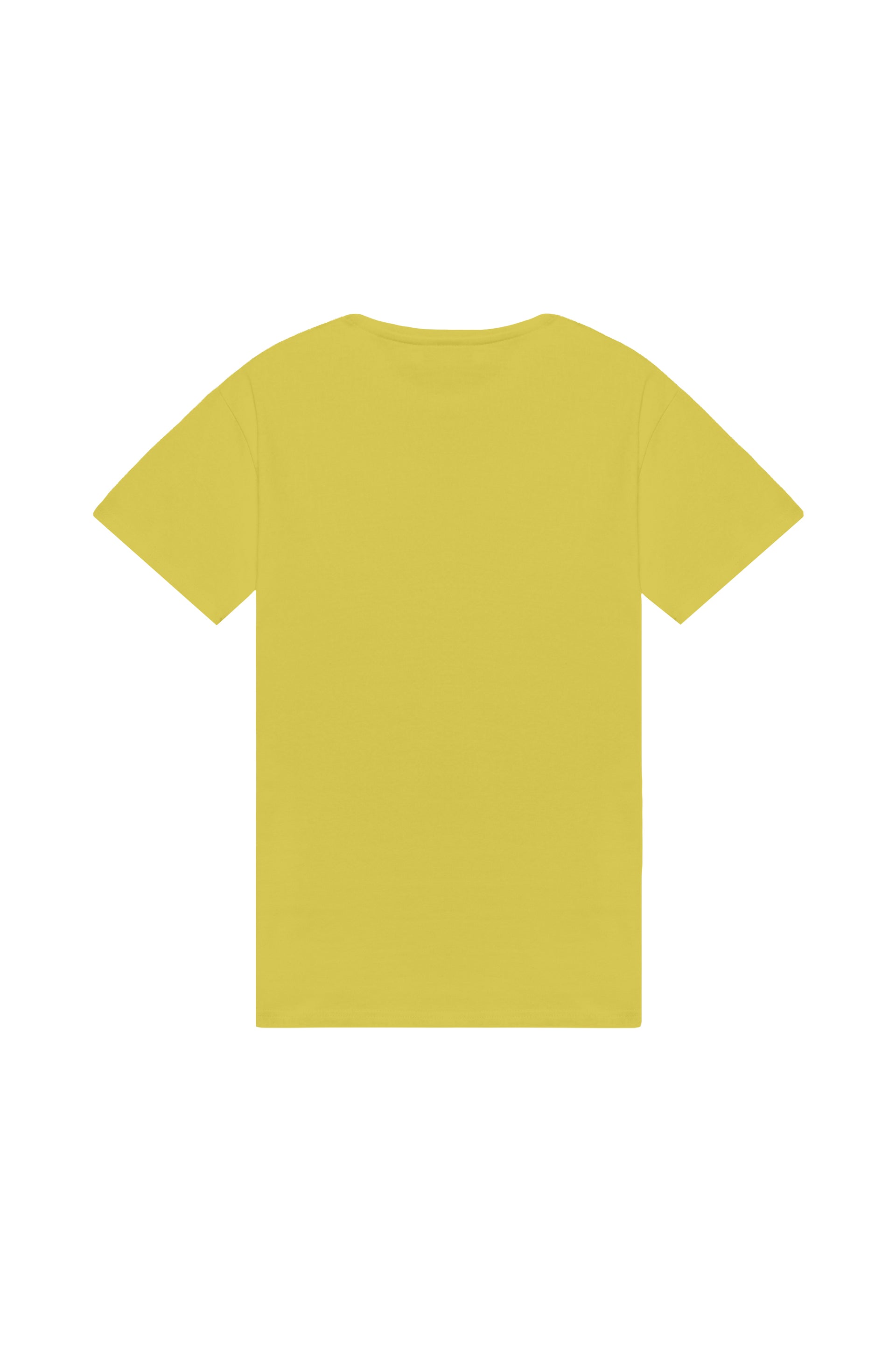 Oversized T-shirt in 2 variants