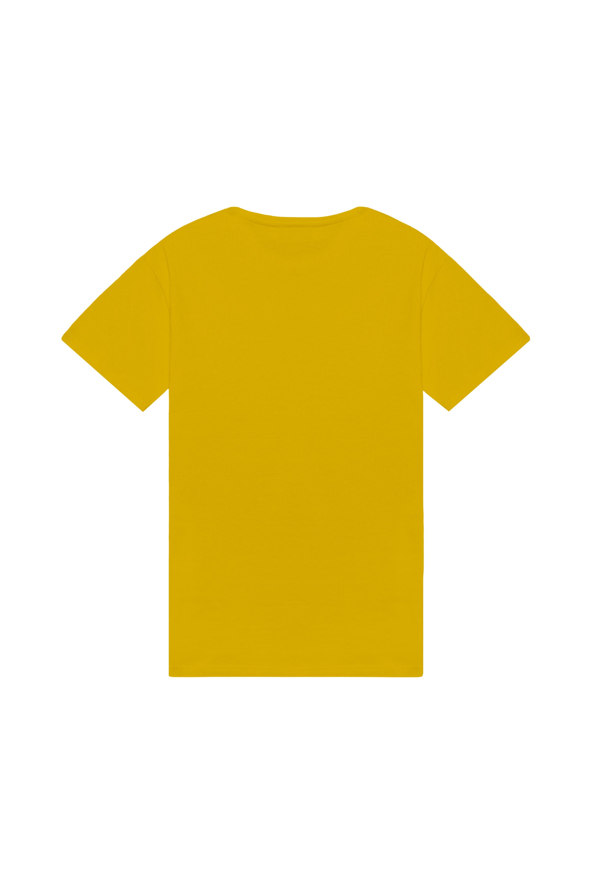 Oversized T-shirt in 2 variants