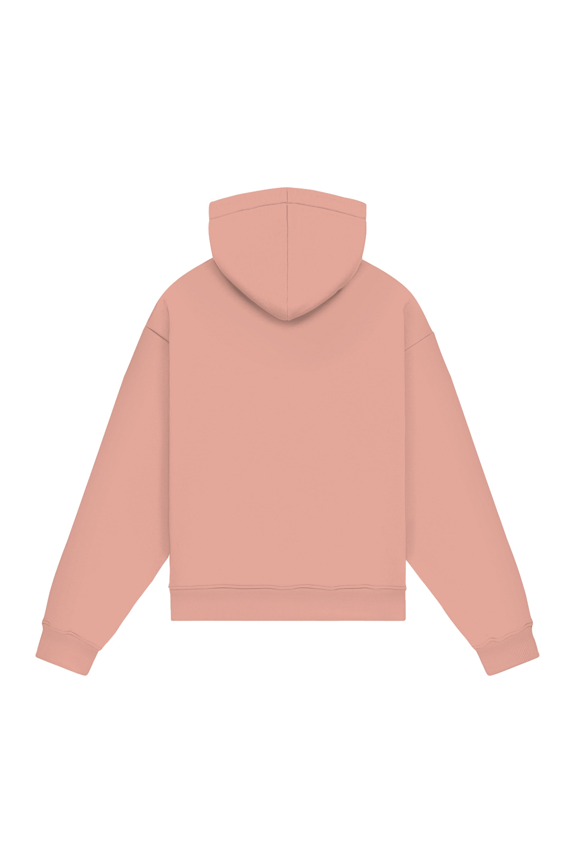 Hoodie Regular LIGHT LOOP SALMON