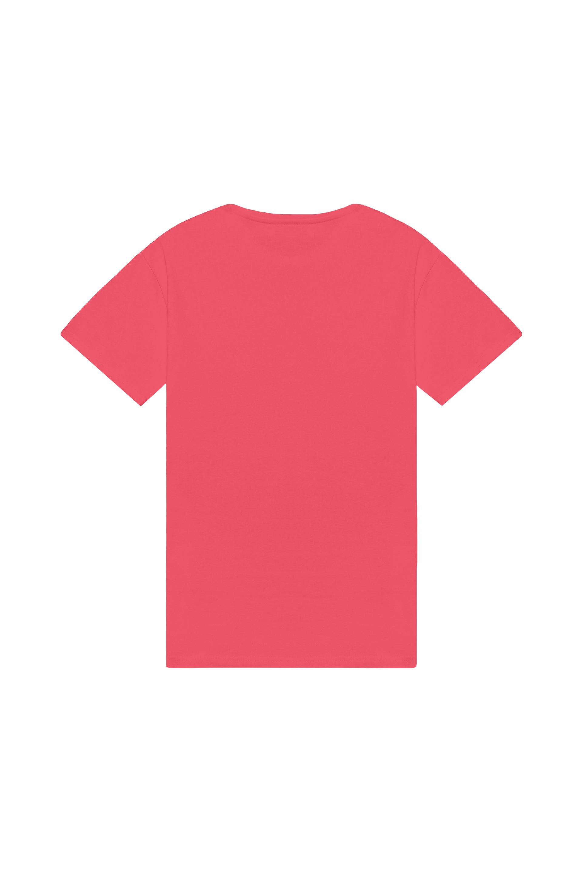 Oversized T-shirt in 2 variants
