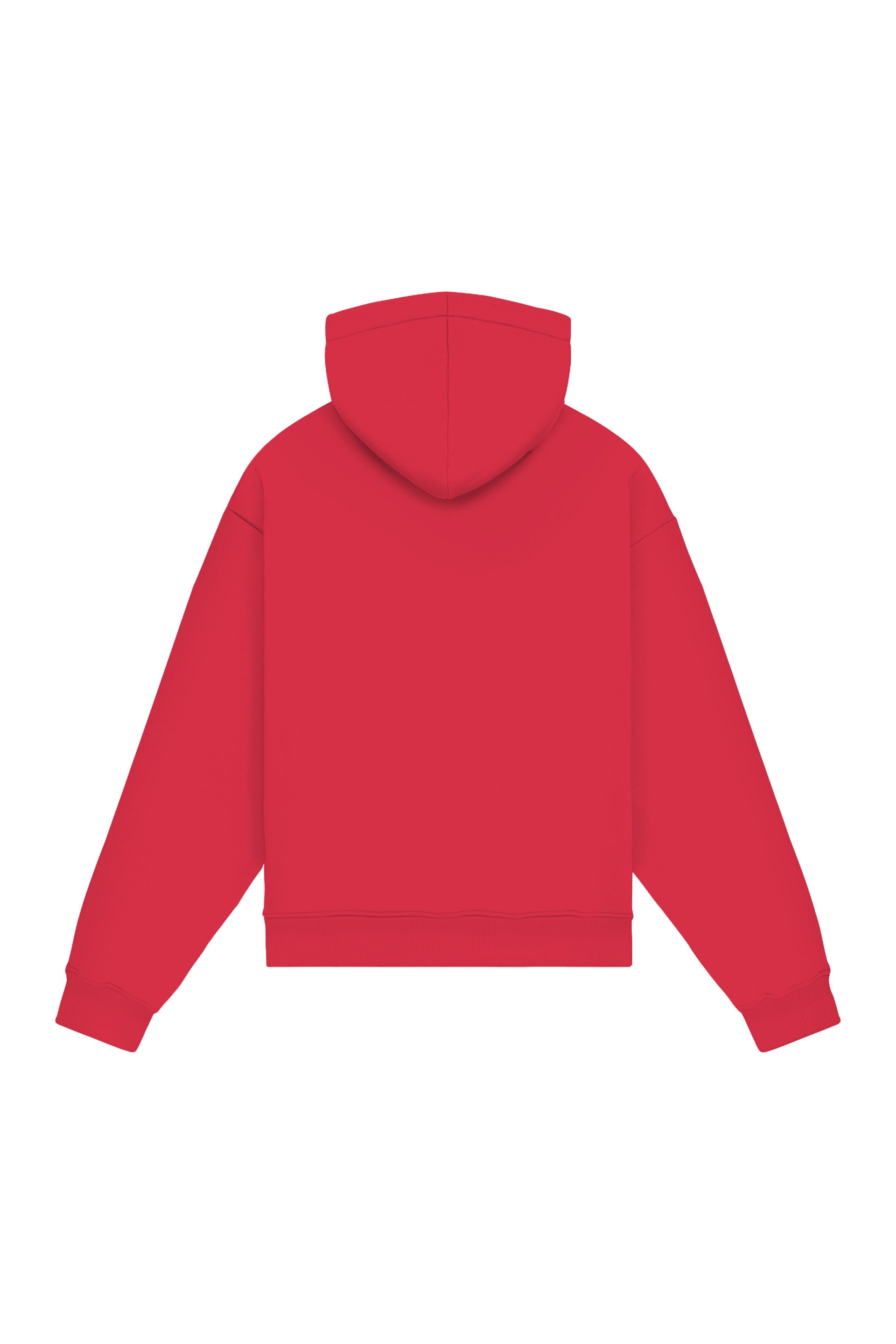 Hoodie Oversize LIGHT LOOP CORAL