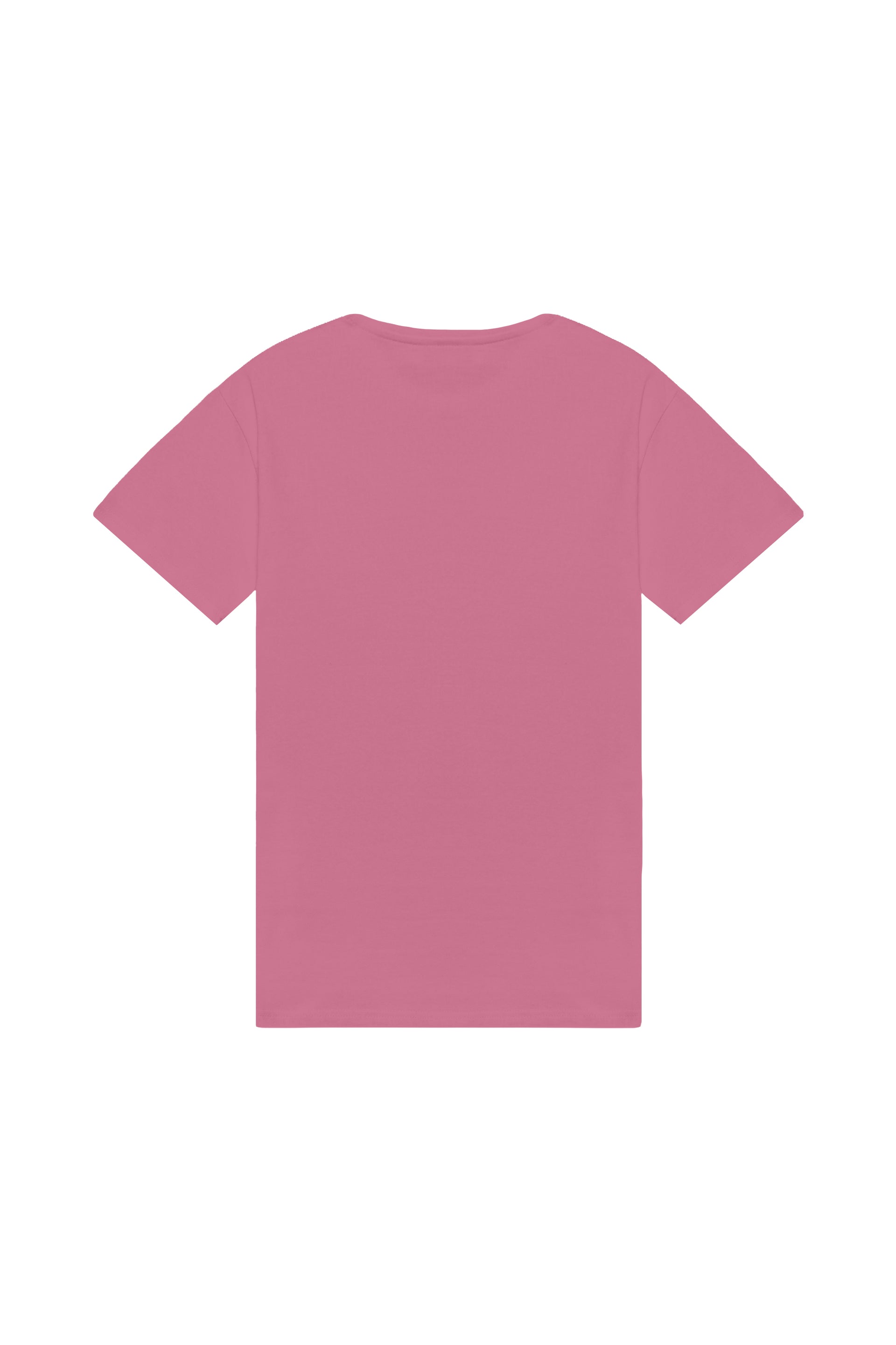 Oversized T-shirt in 2 variants