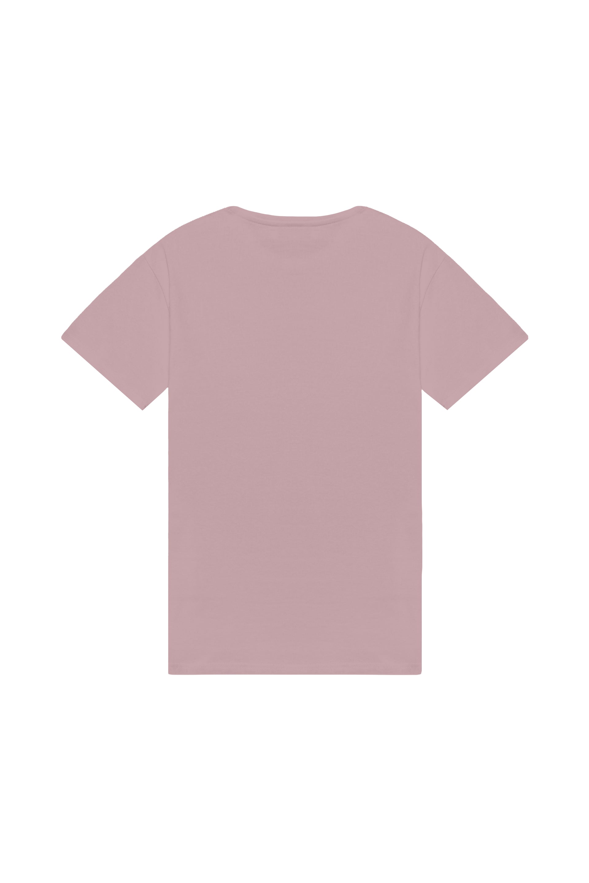 Oversized T-shirt in 2 variants