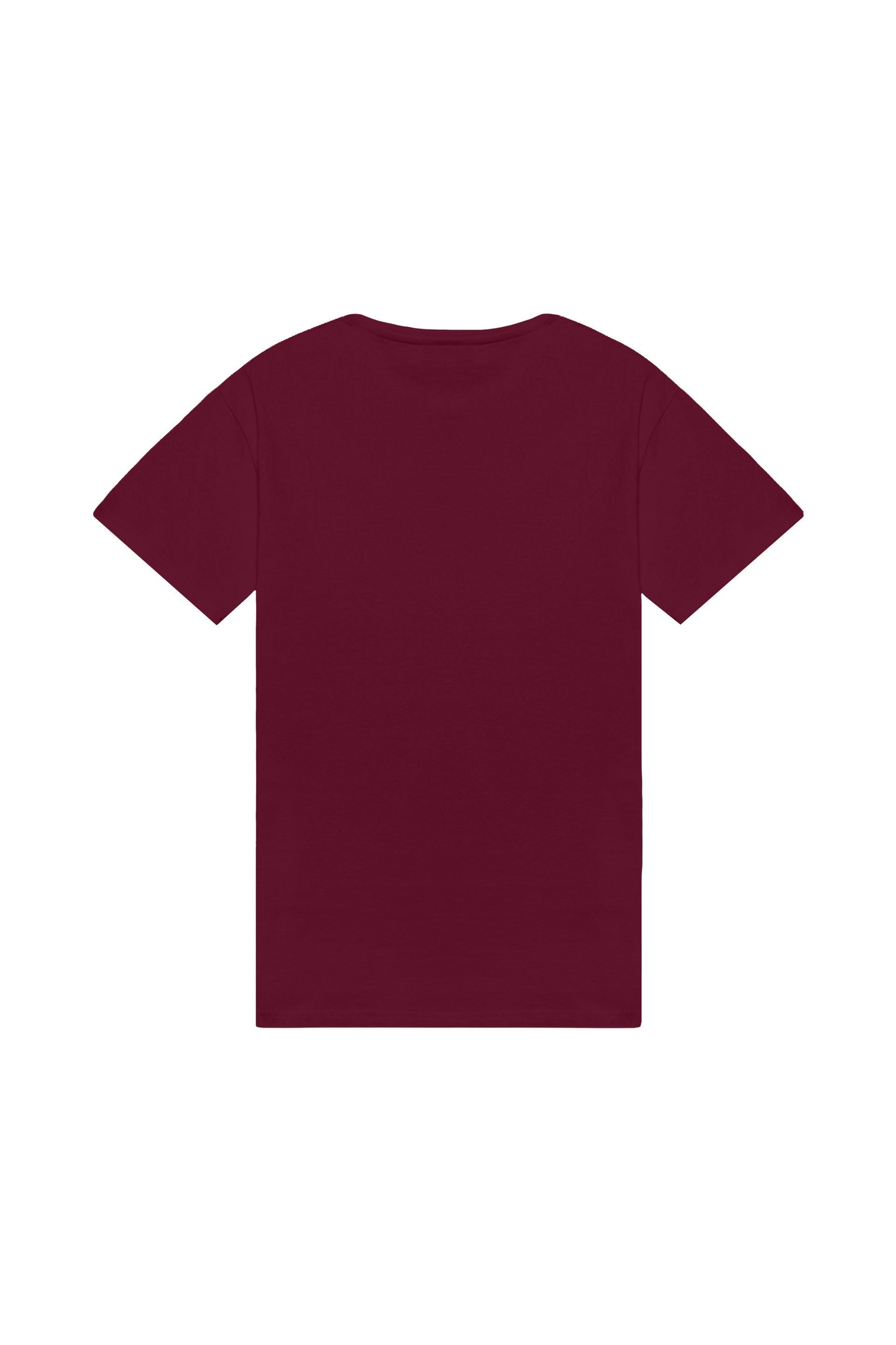 Oversized T-shirt in 2 variants