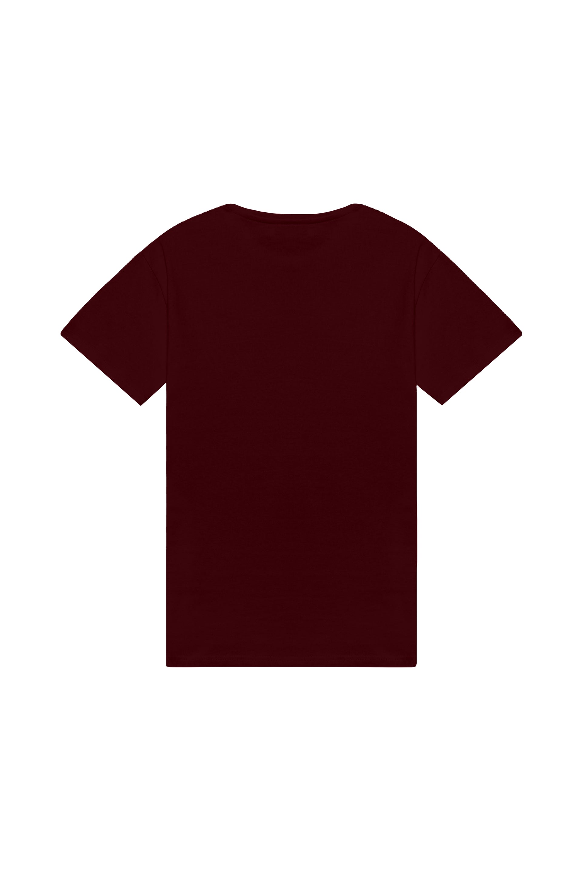 Oversized T-shirt in 2 variants