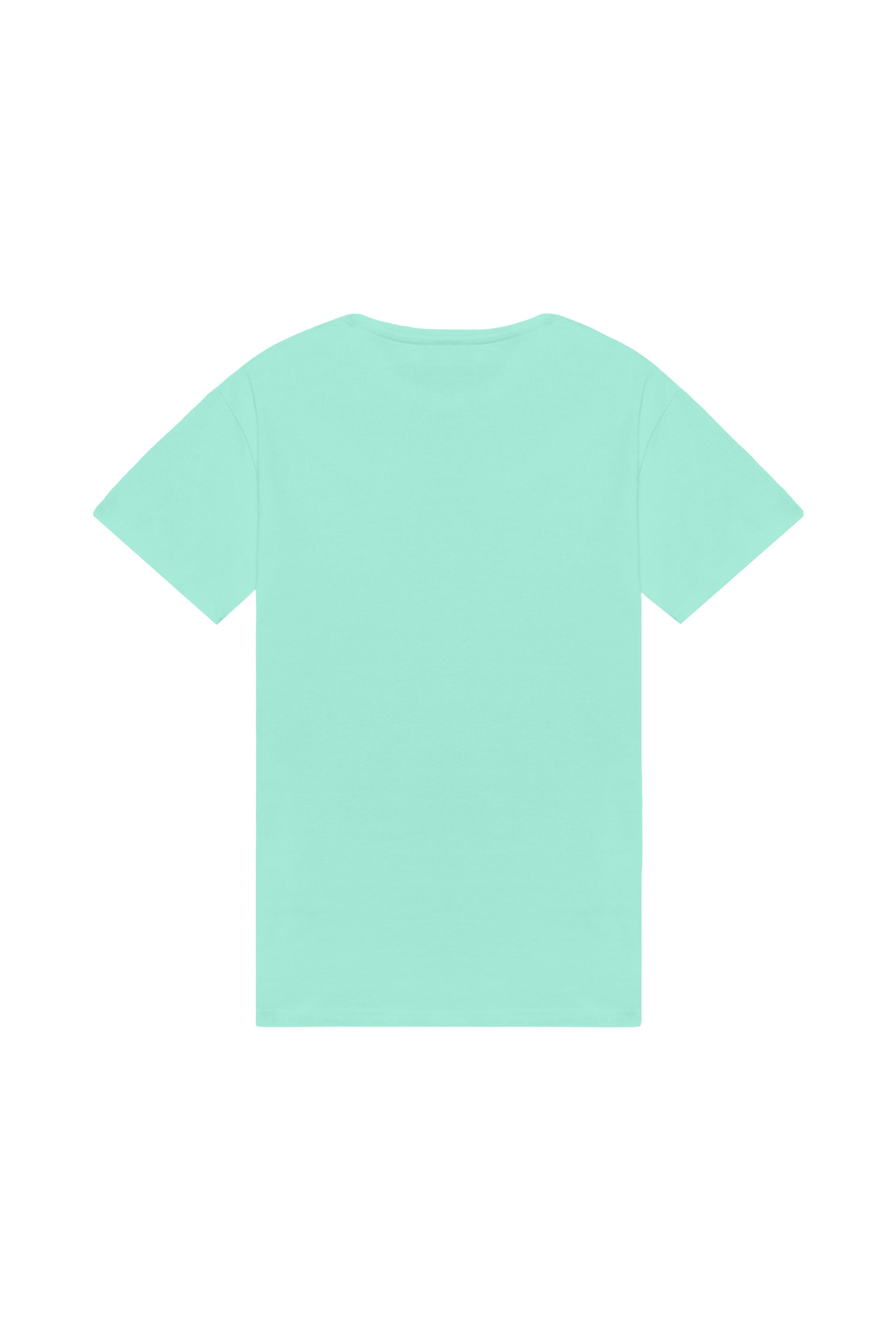 Oversized T-shirt in 2 variants