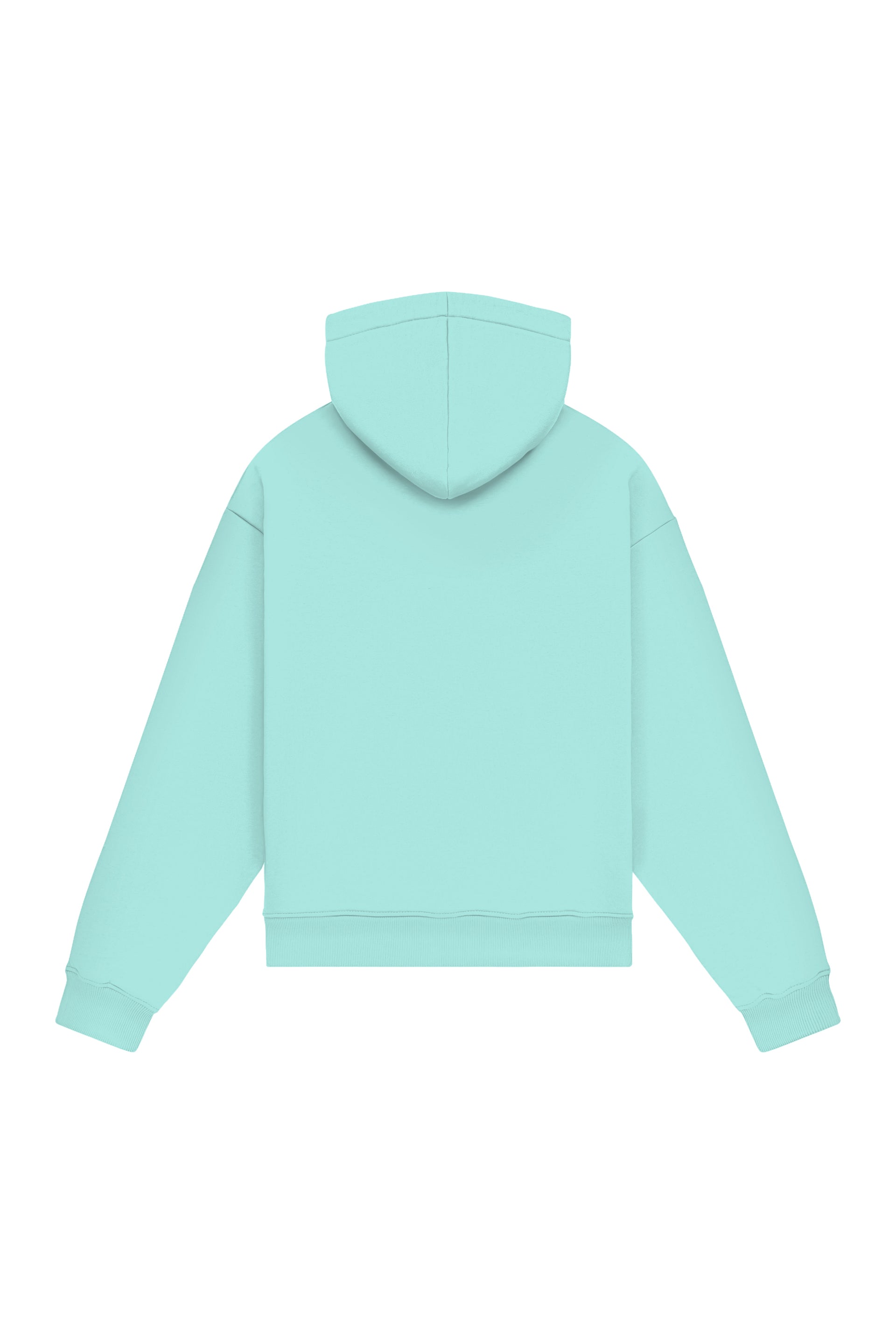 Hoodie Oversize LIGHT LOOP MINT