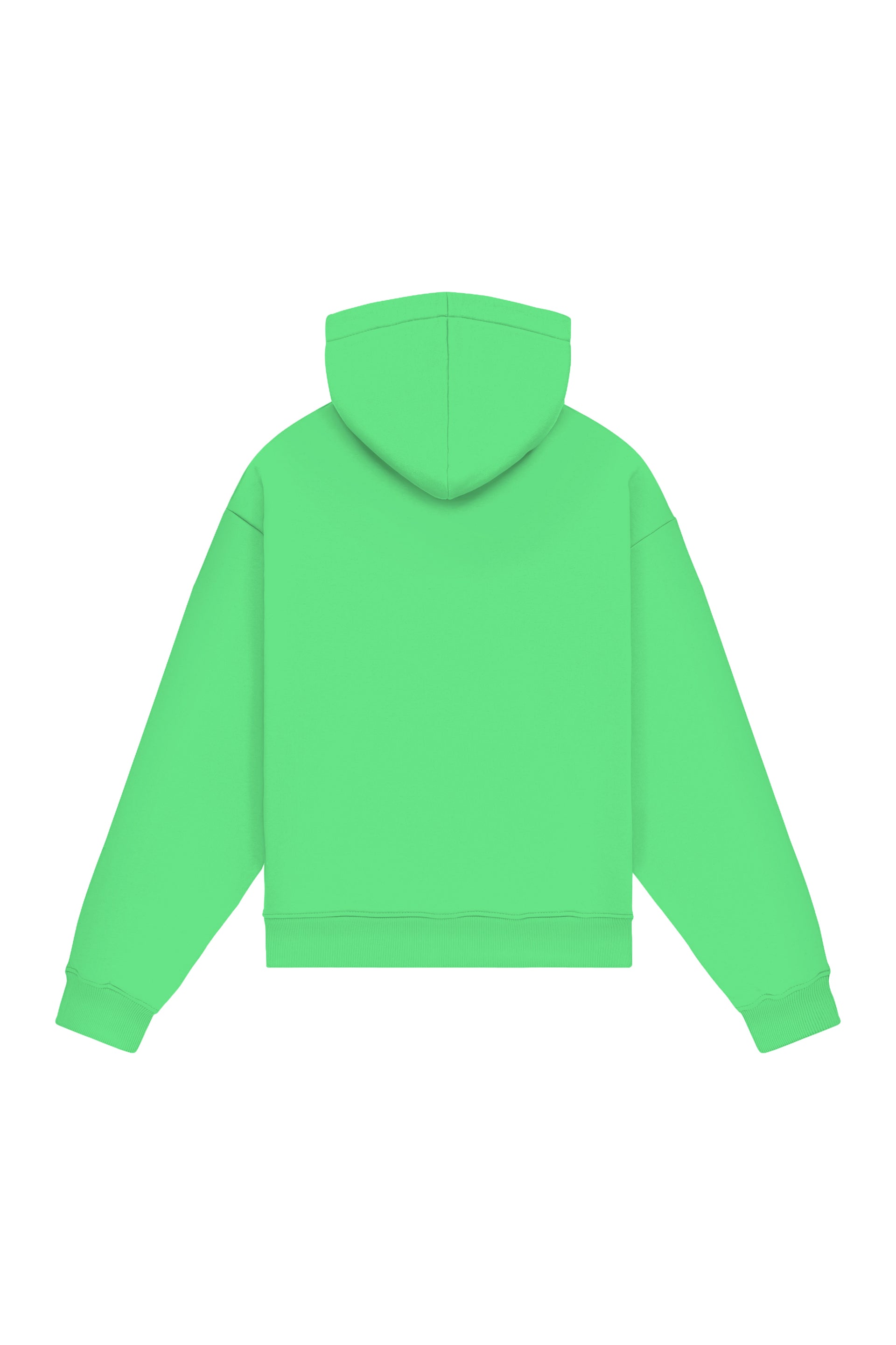 Hoodie Oversize LIGHT LOOP KIWI