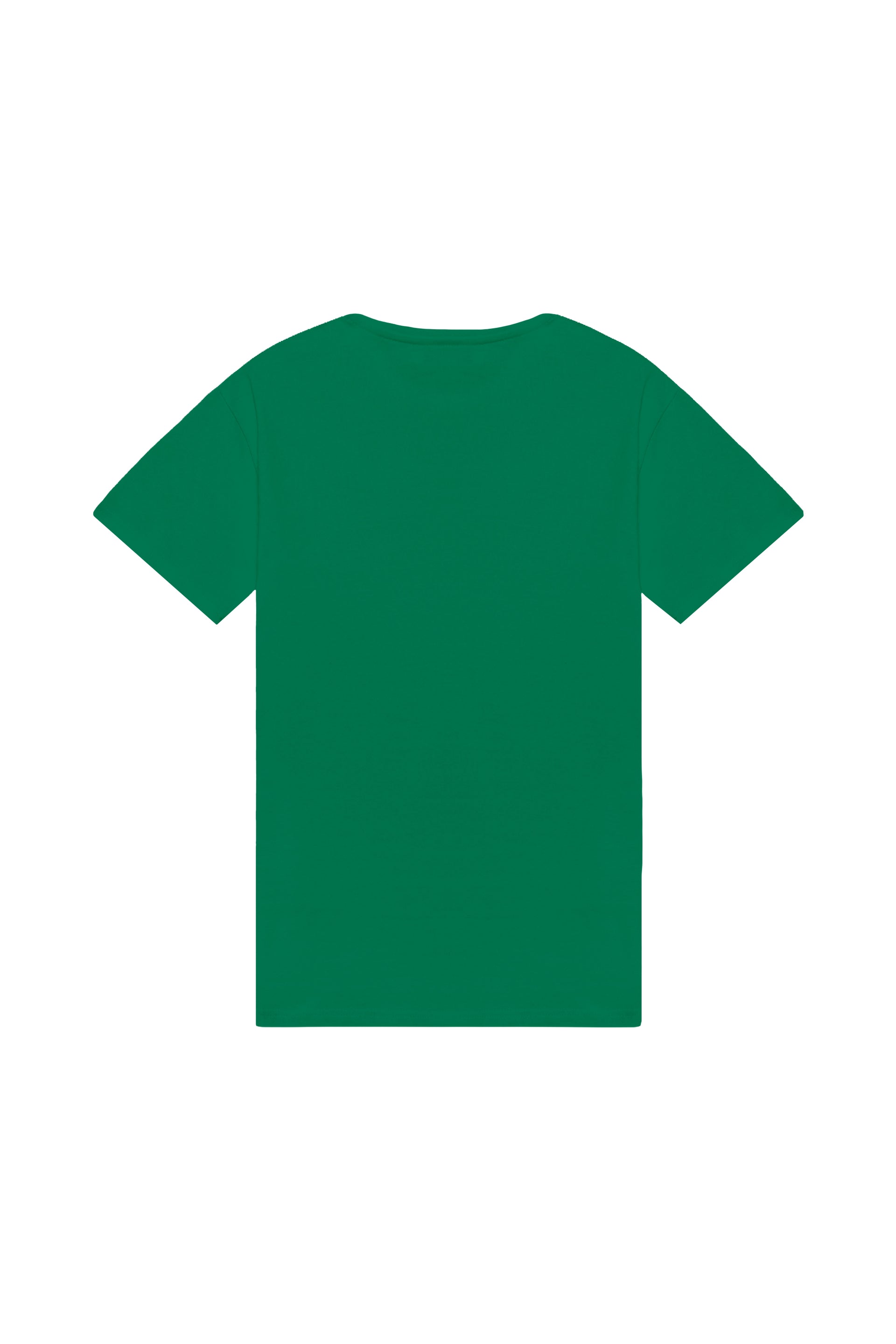 Oversized T-shirt in 2 variants