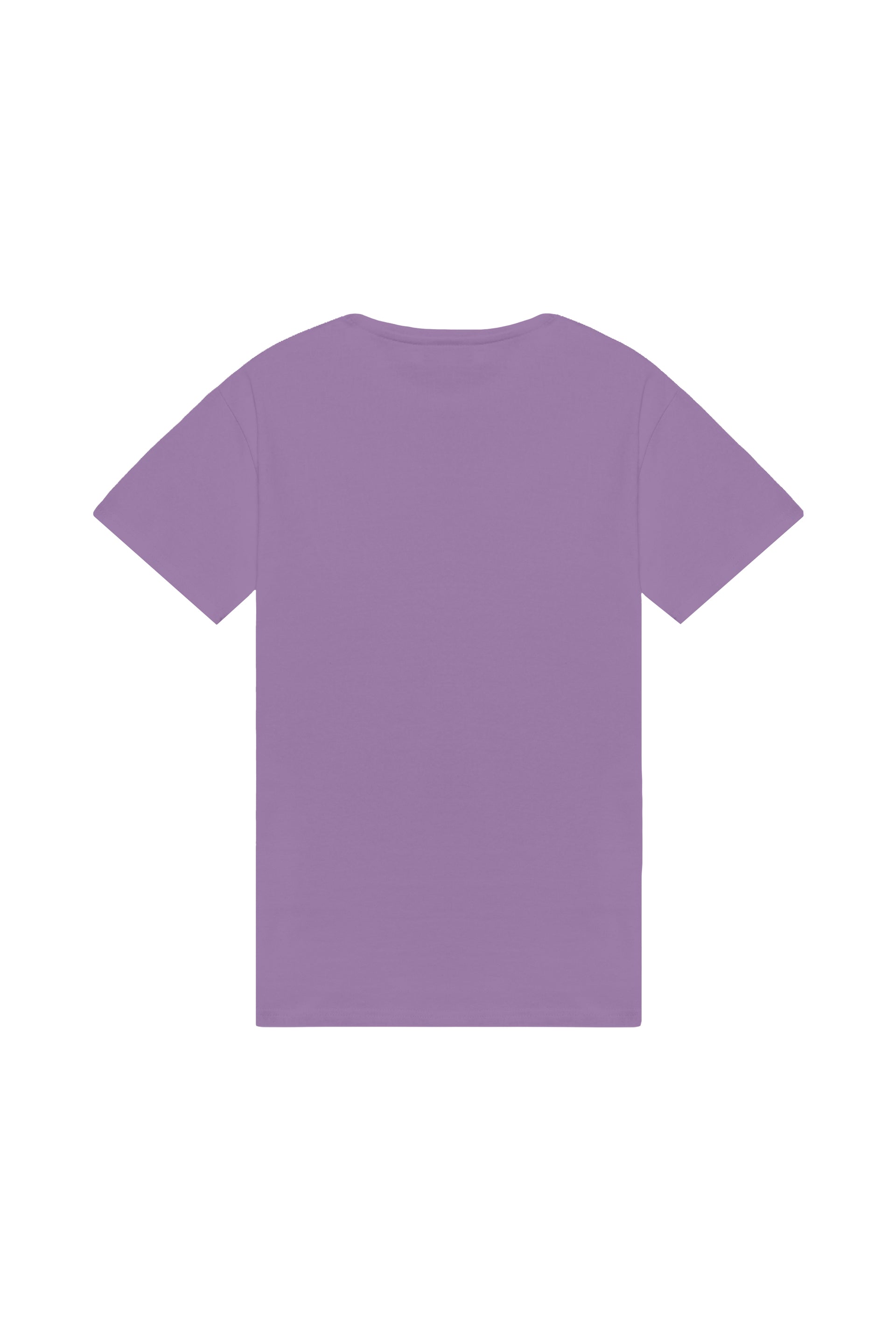 Oversized T-shirt in 2 variants
