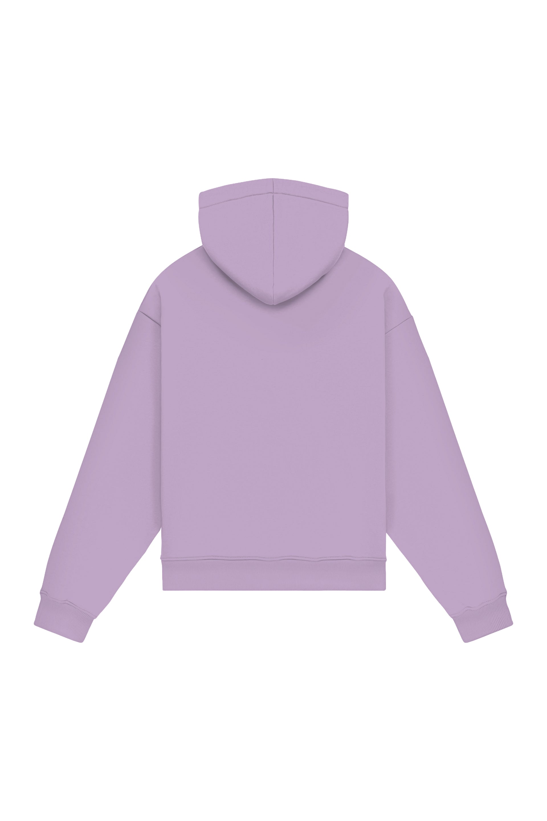 Hoodie Oversize LIGHT LOOP LILAC