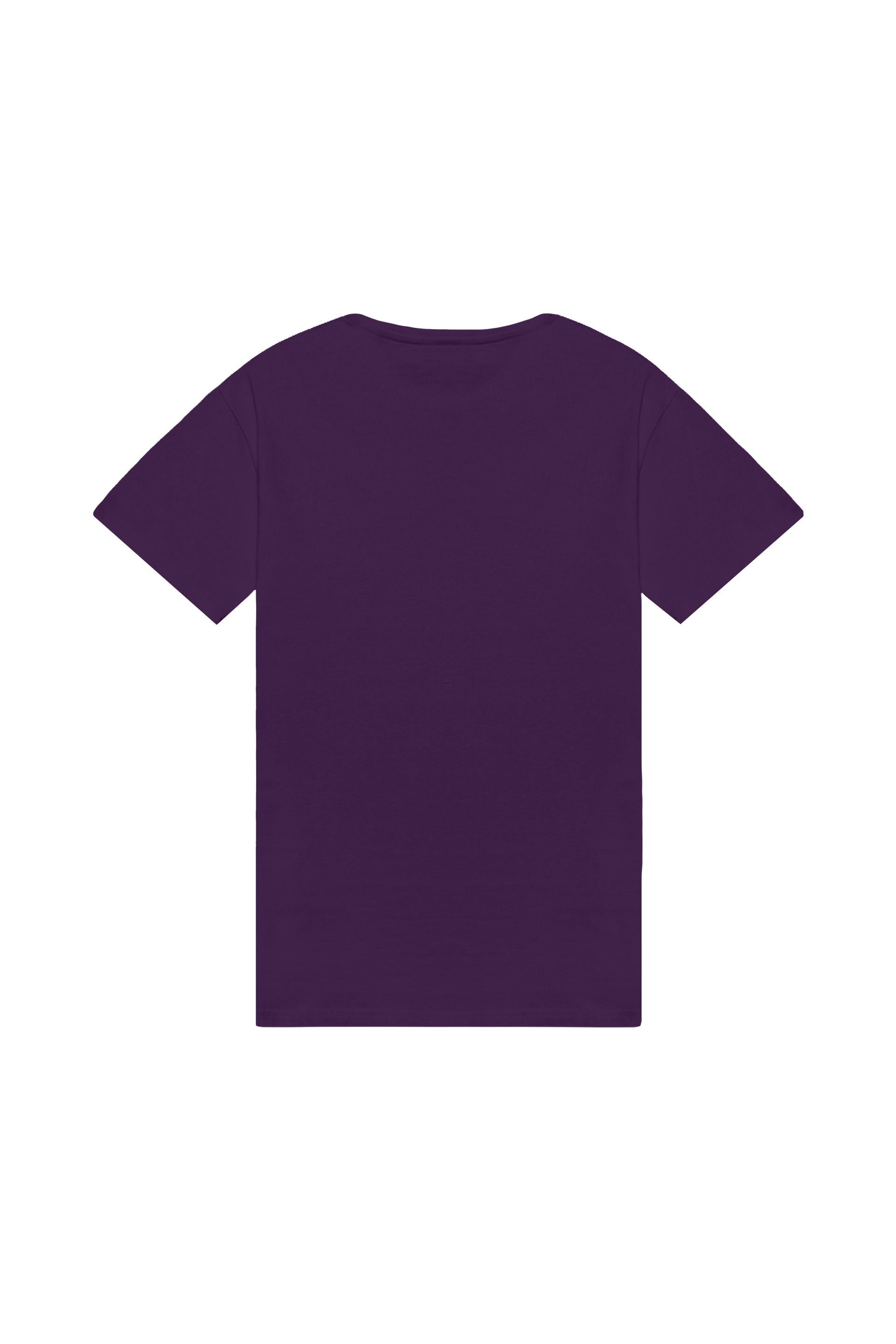 Oversized T-shirt in 2 variants