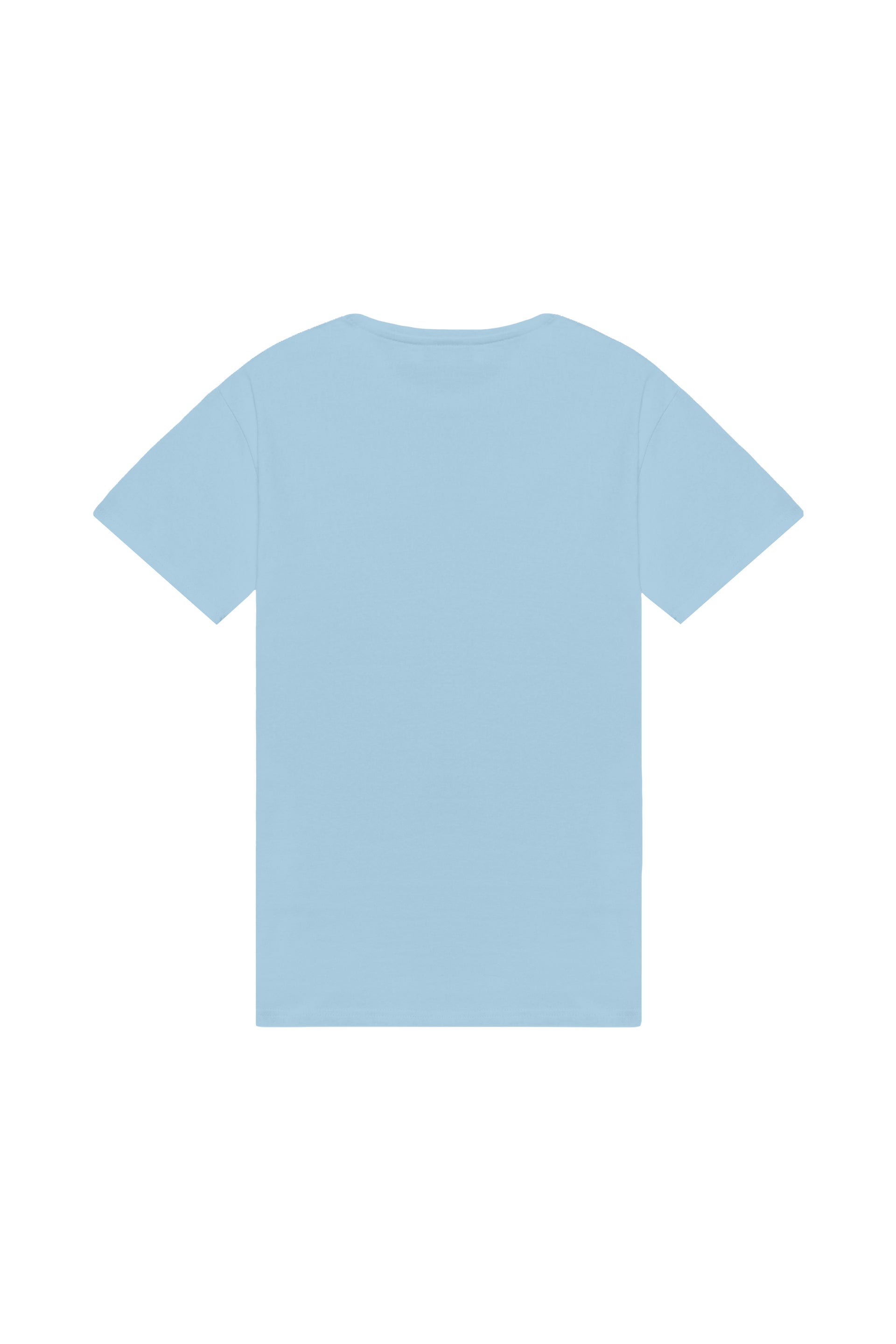 Oversized T-shirt in 2 variants
