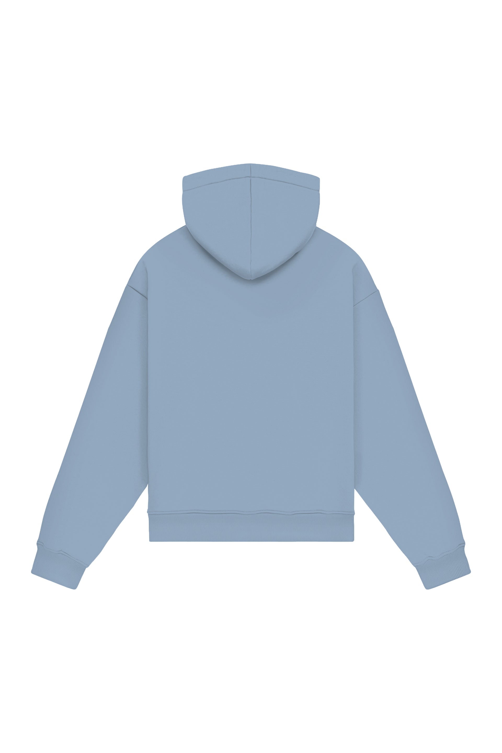 Hoodie Oversize LIGHT LOOP PALOMA