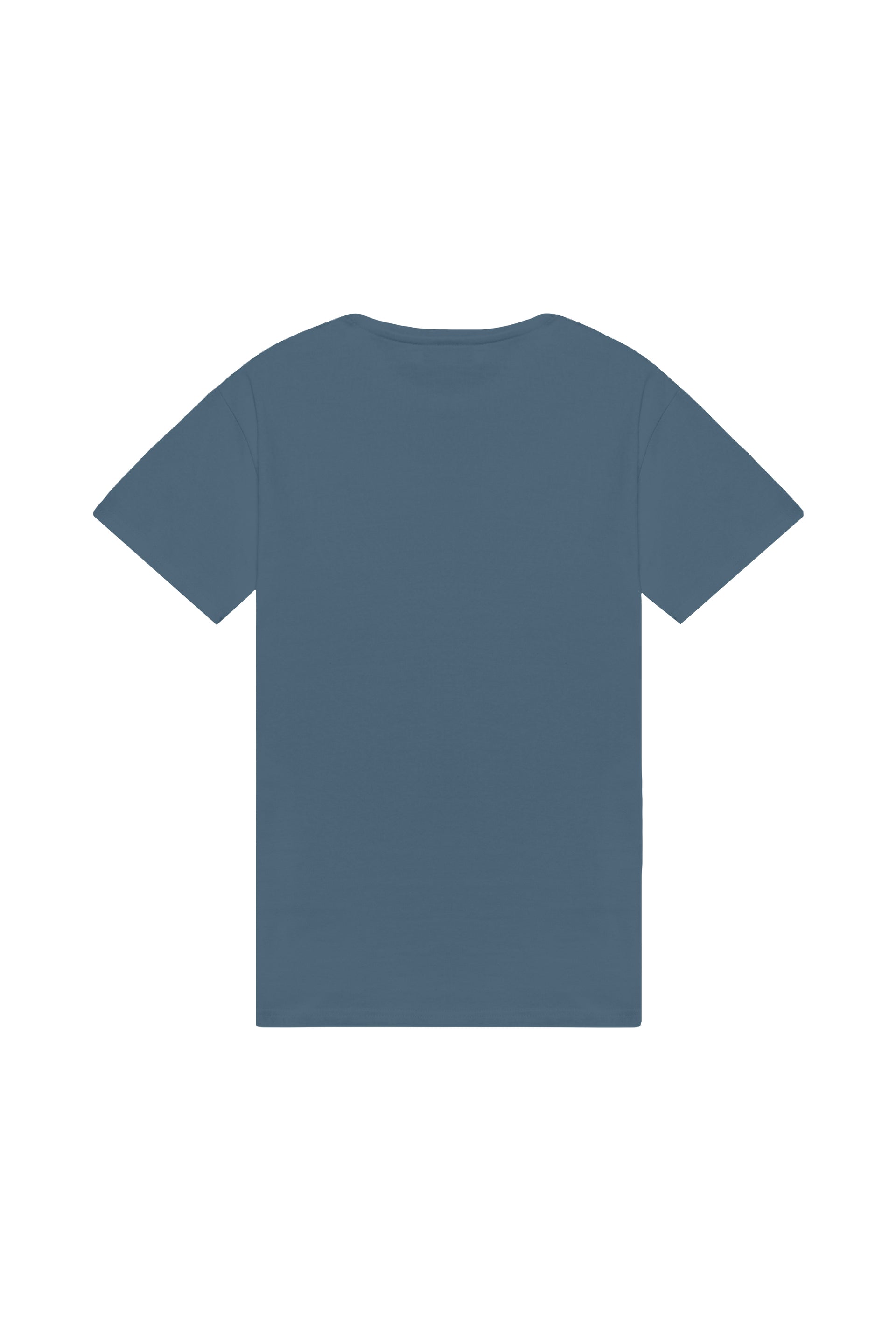Oversized T-shirt in 2 variants