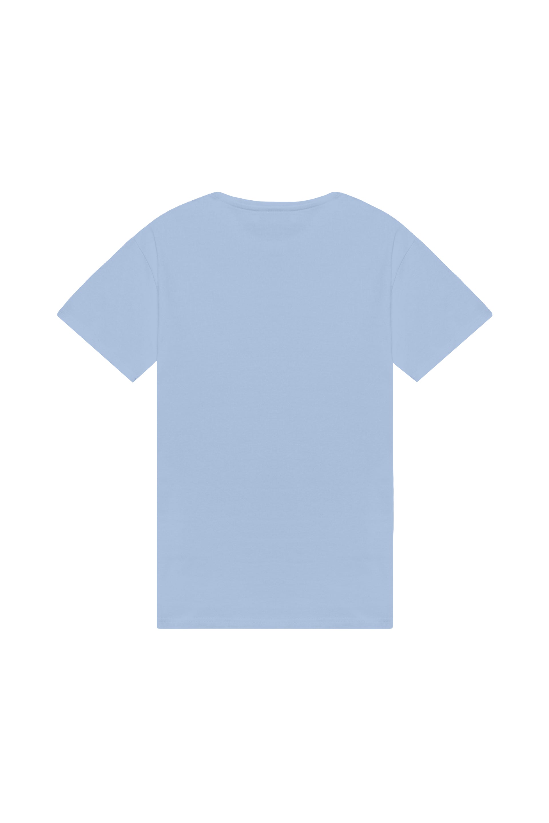 Oversized T-shirt in 2 variants