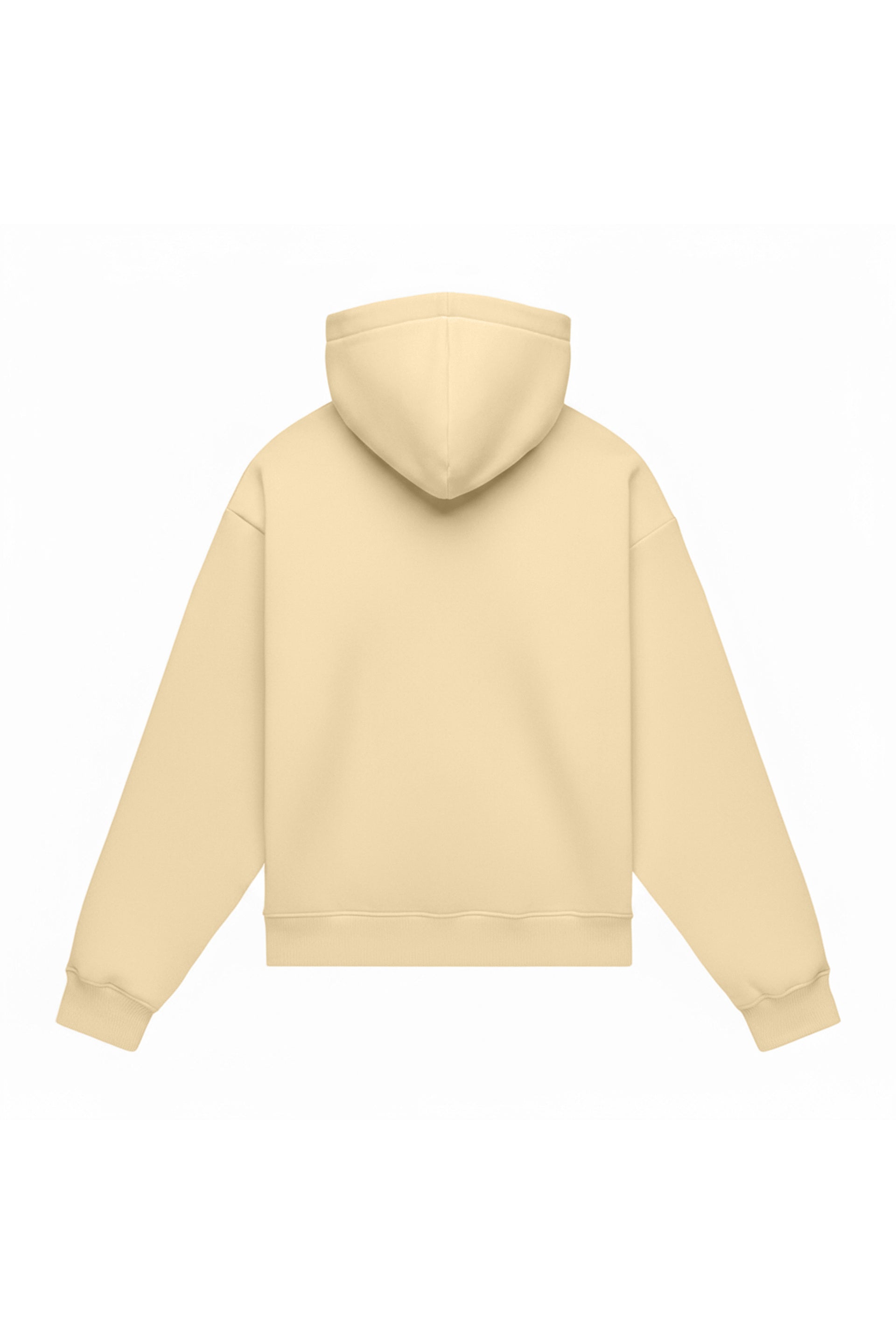 Hoodie oversize LIGHT BRUSHED BEIGE