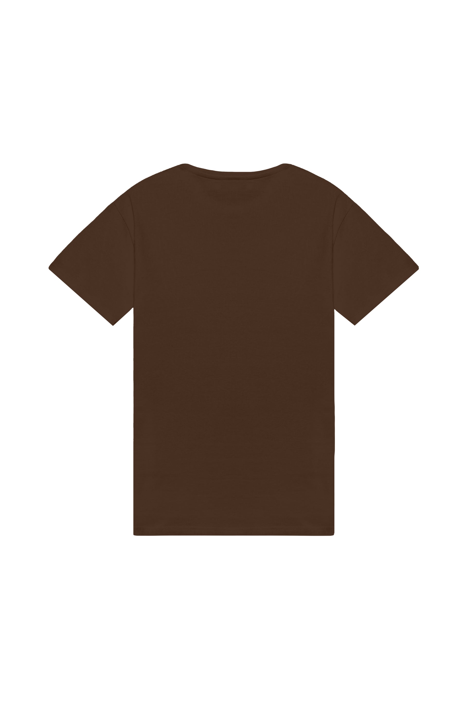 T-shirt regular STRETCH BROWN