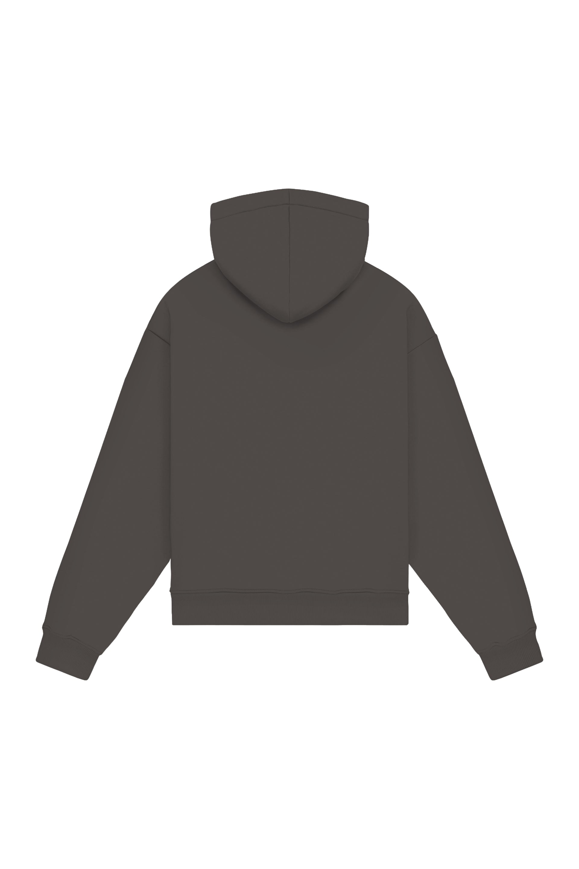 Hoodie regular - loop in 2 variants