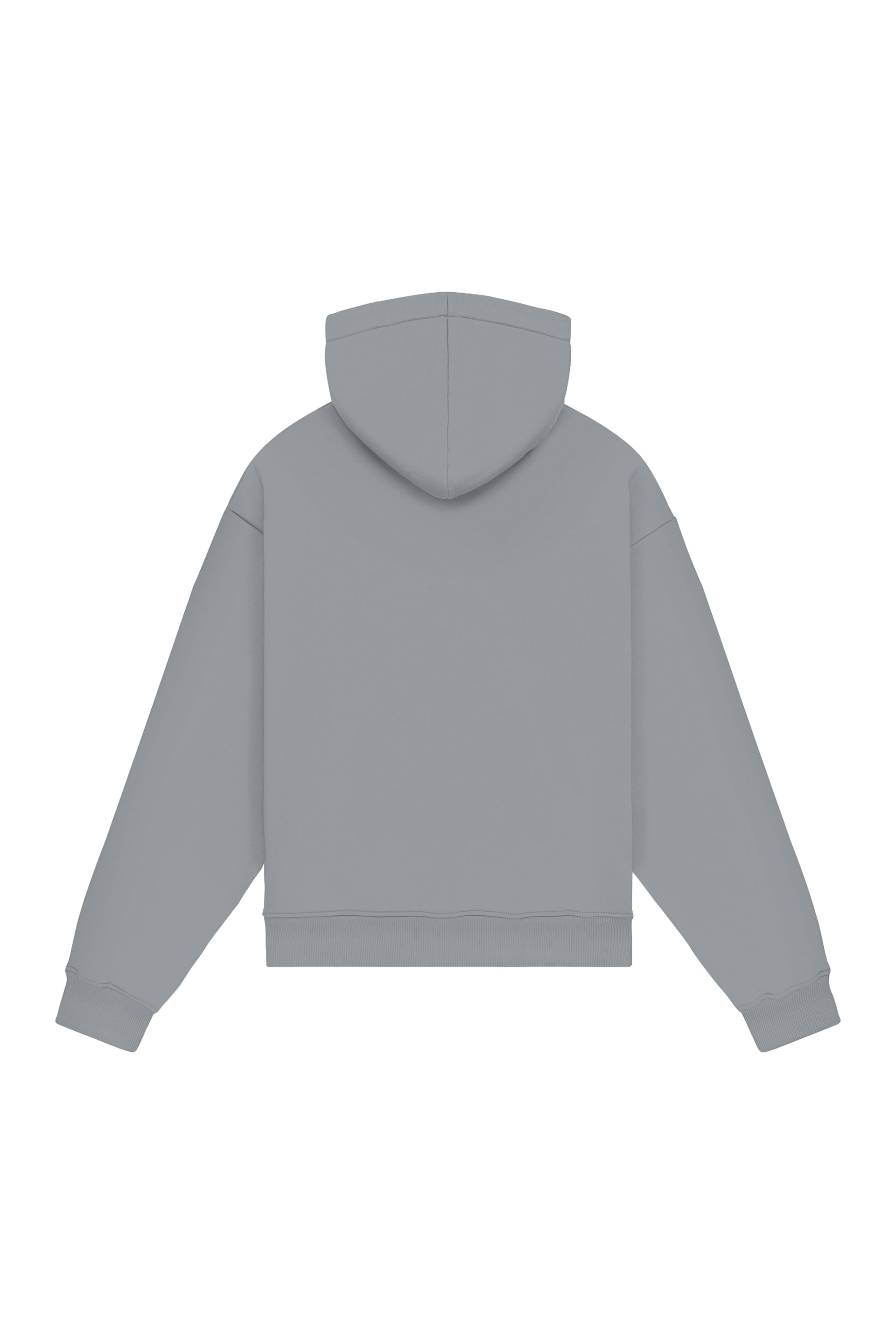 Hoodie Oversize LIGHT LOOP VIOLET ICE