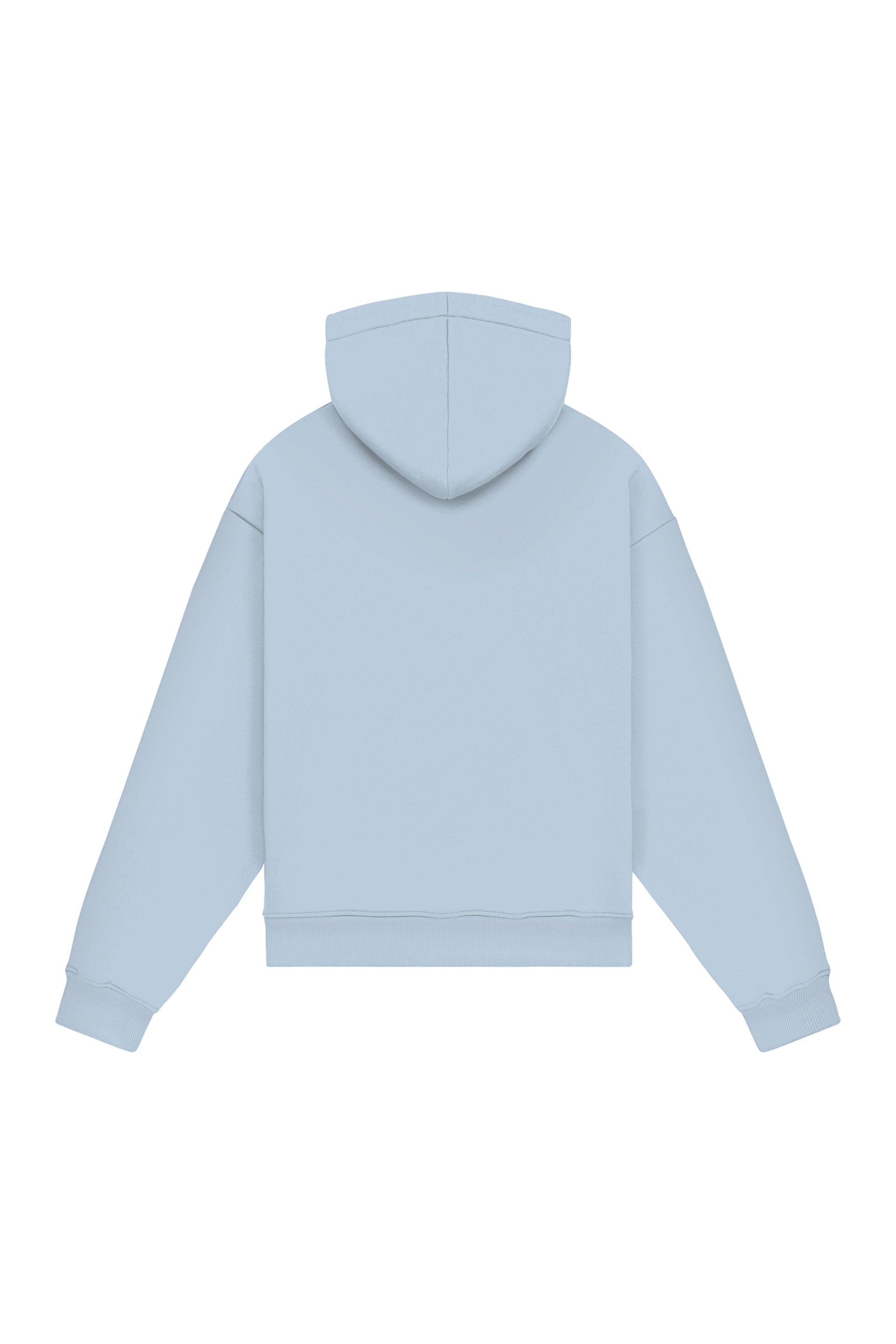 Hoodie Oversize LIGHT LOOP SKYLIGHT