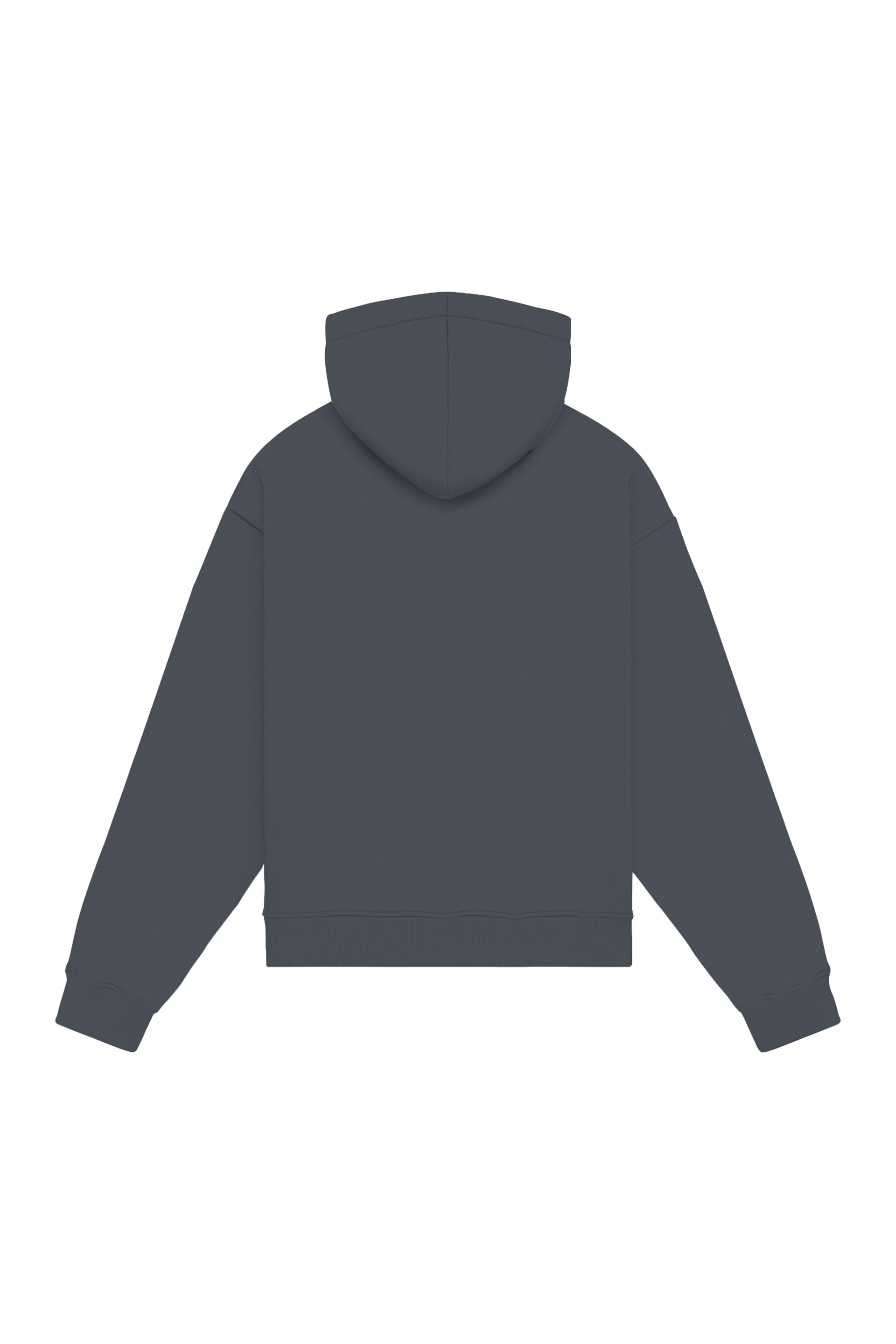 Hoodie regular - loop in 2 variants
