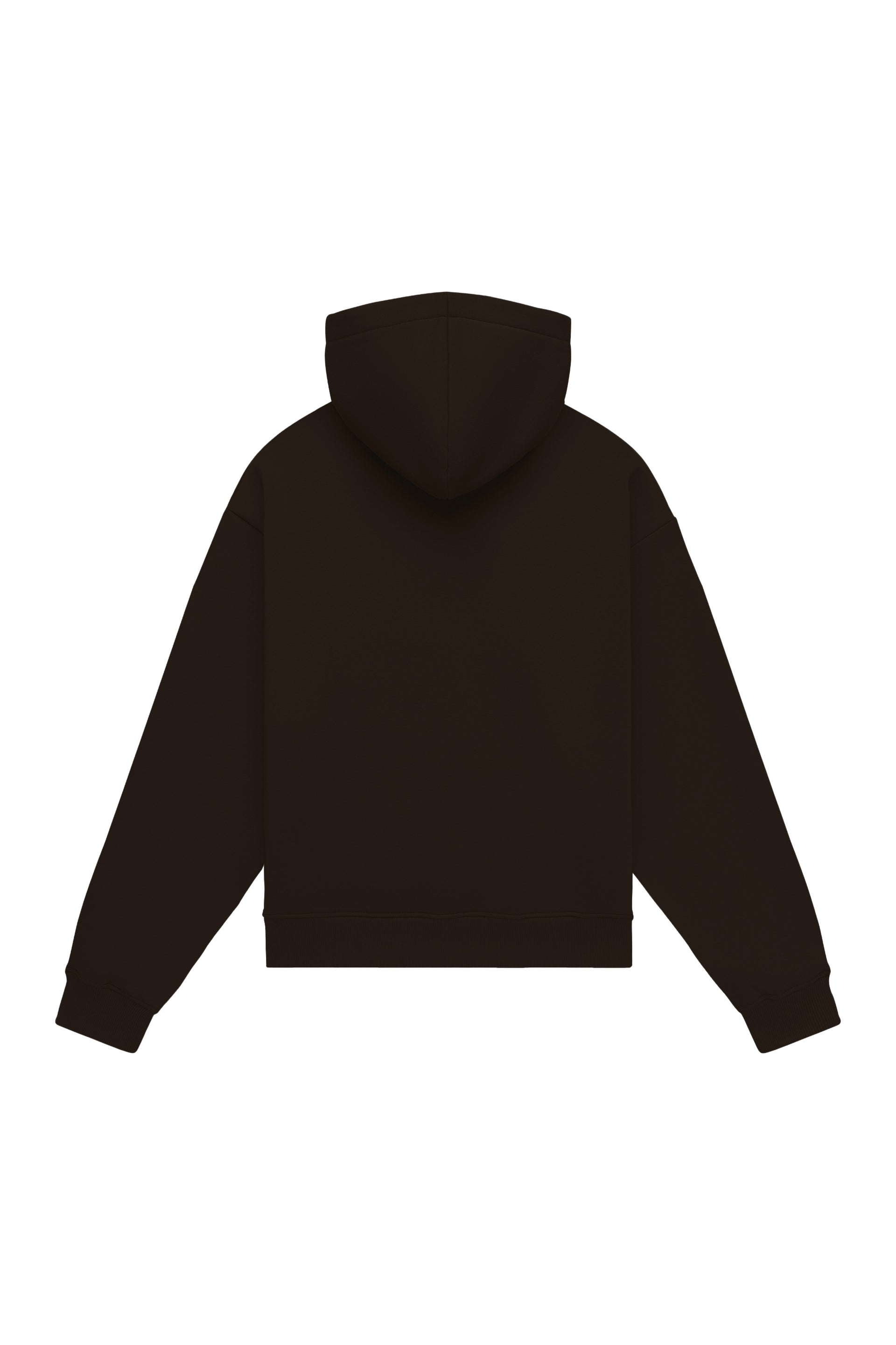 Hoodie oversize LIGHT BRUSHED CHOCOLATE