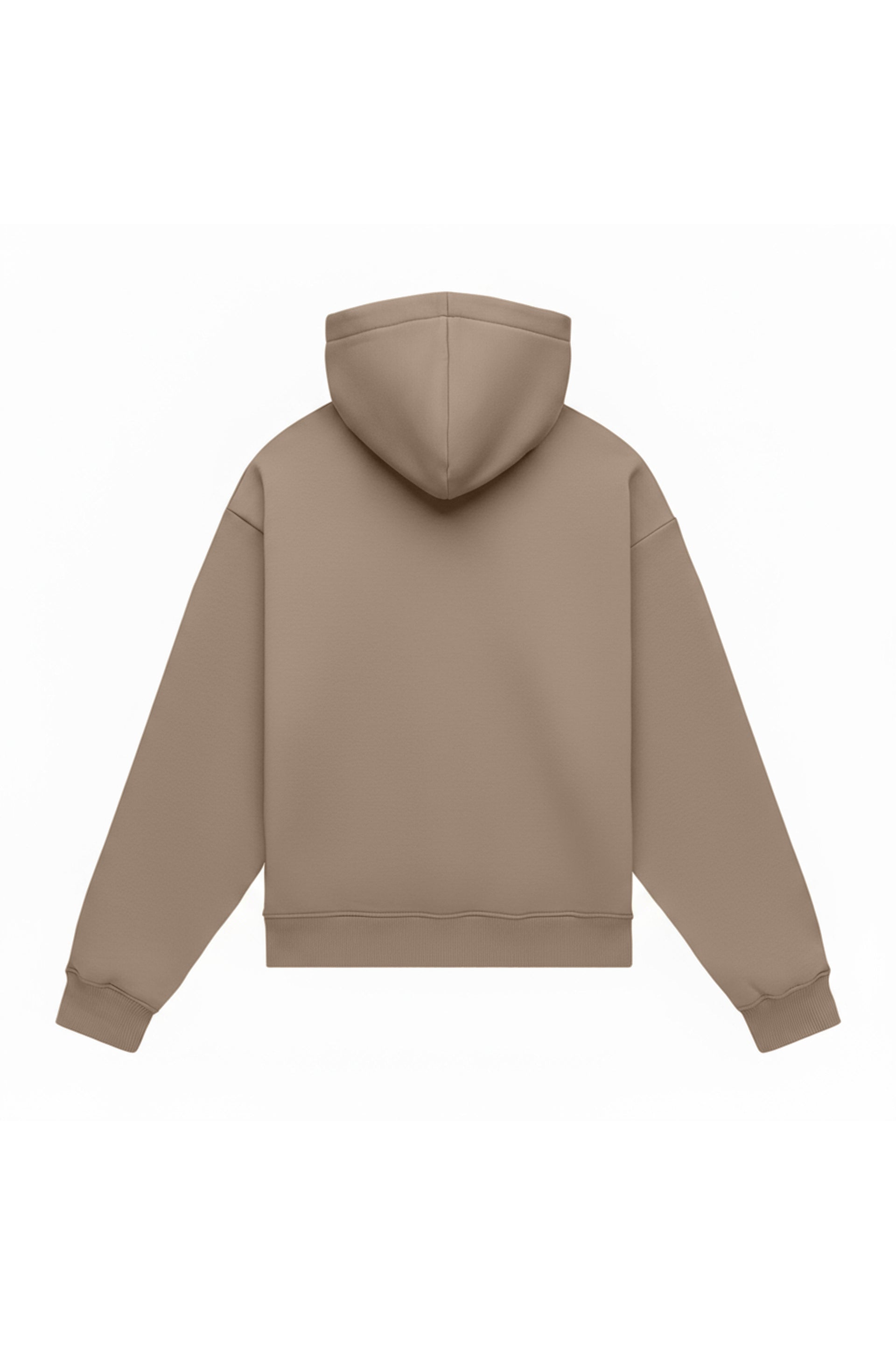 Hoodie oversize LIGHT BRUSHED COOL STONE