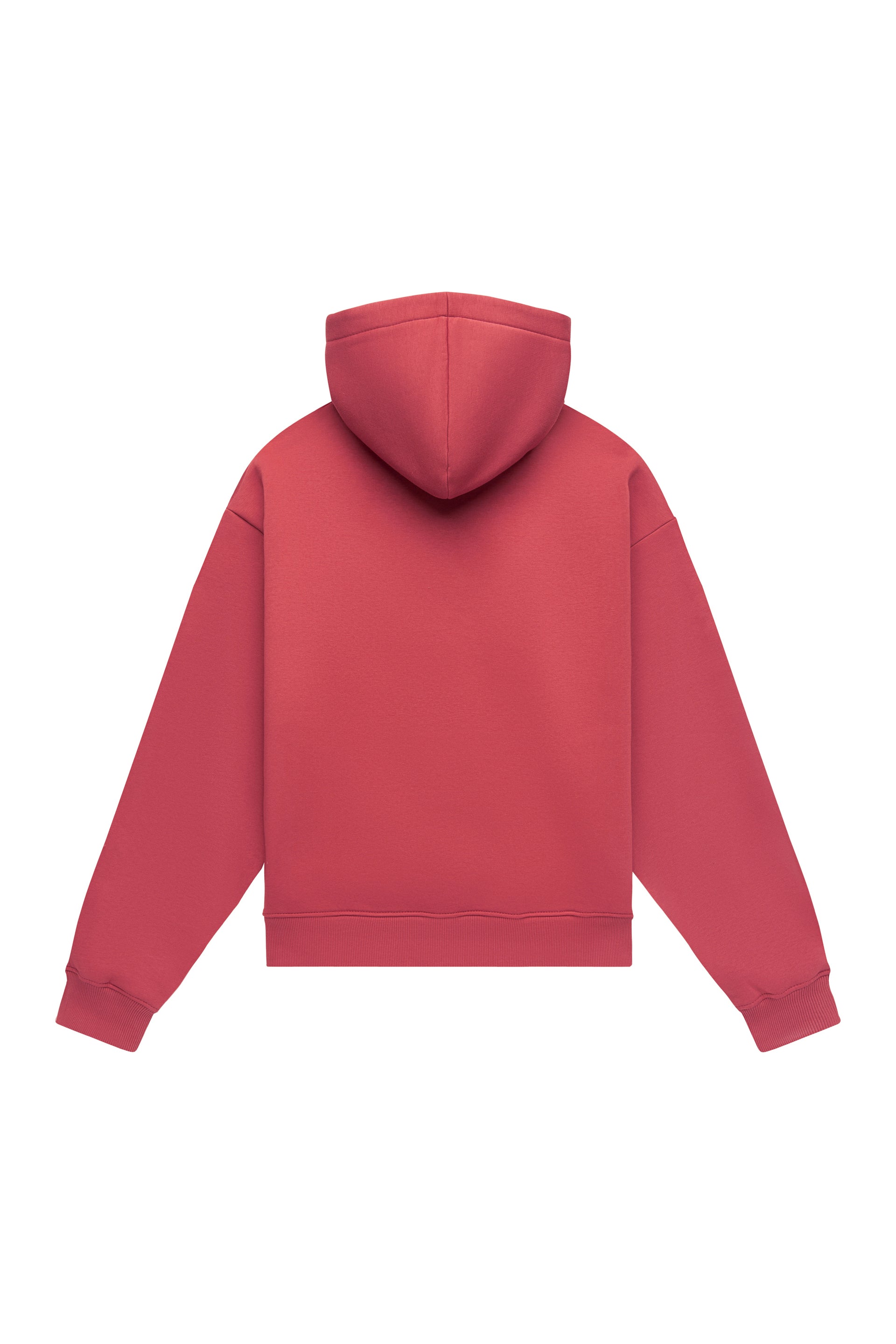 Hoodie oversize LIGHT BRUSHED CORAL