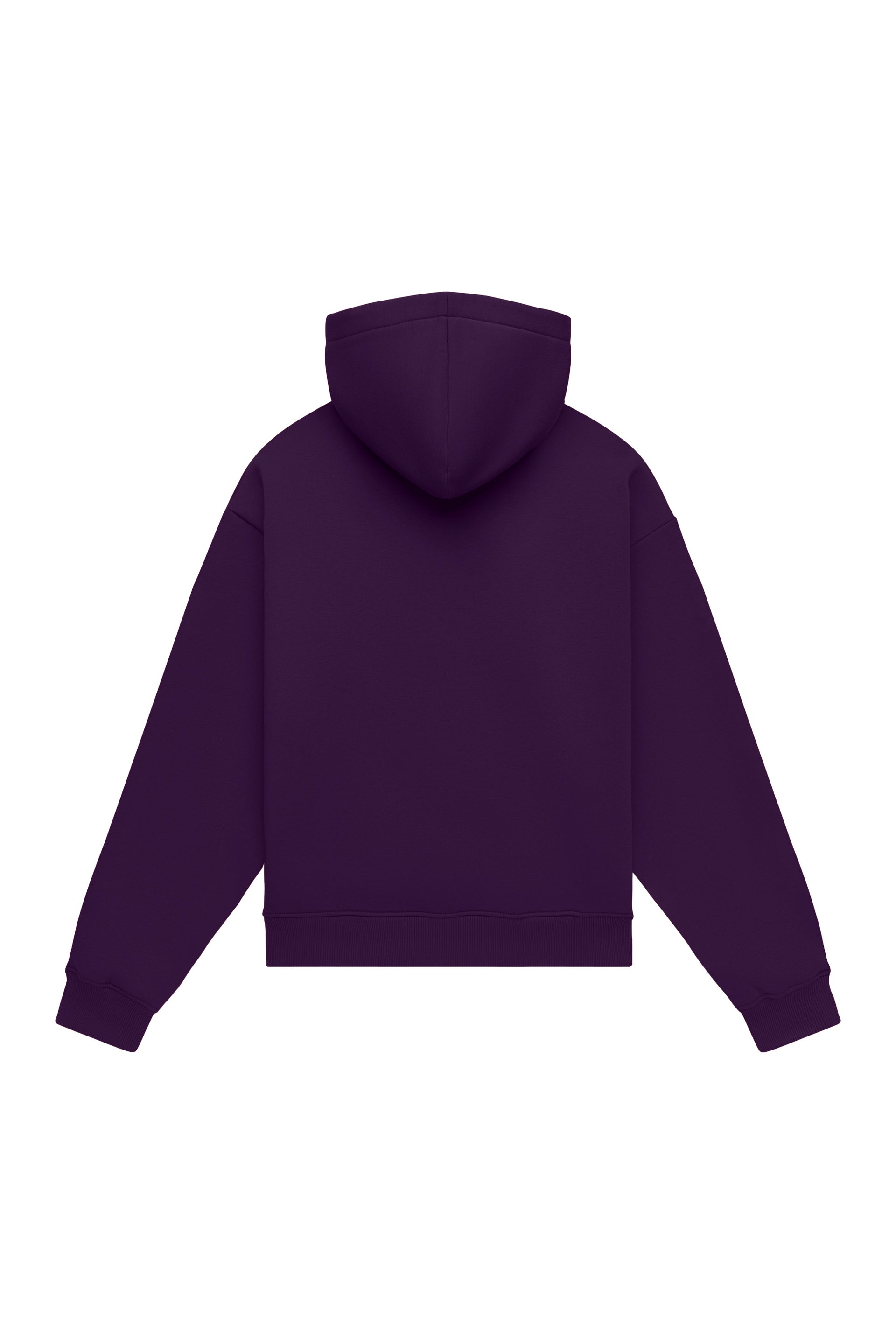 Hoodie oversize LIGHT BRUSHED DARK PURPLE