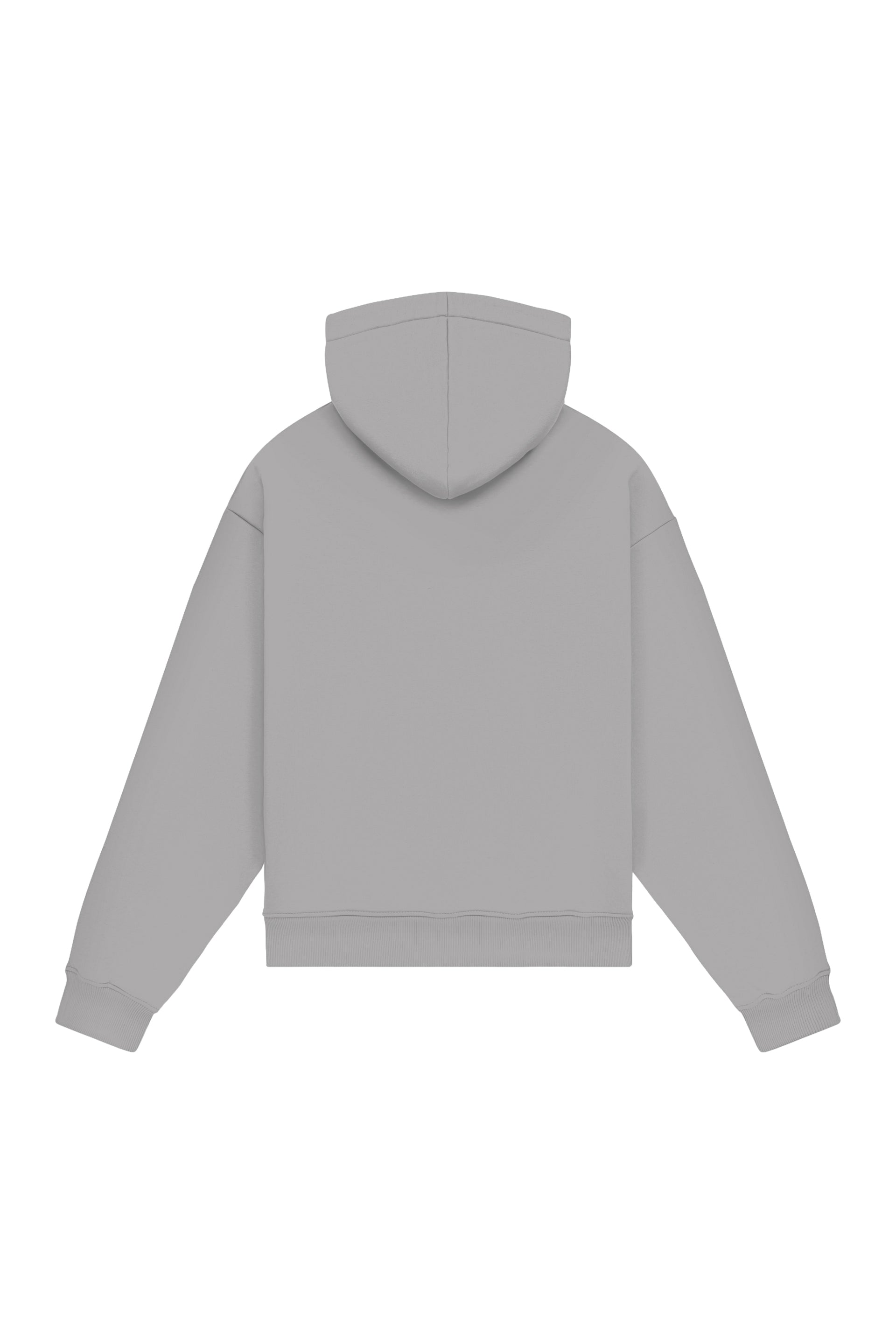 Hoodie regular - loop in 2 variants