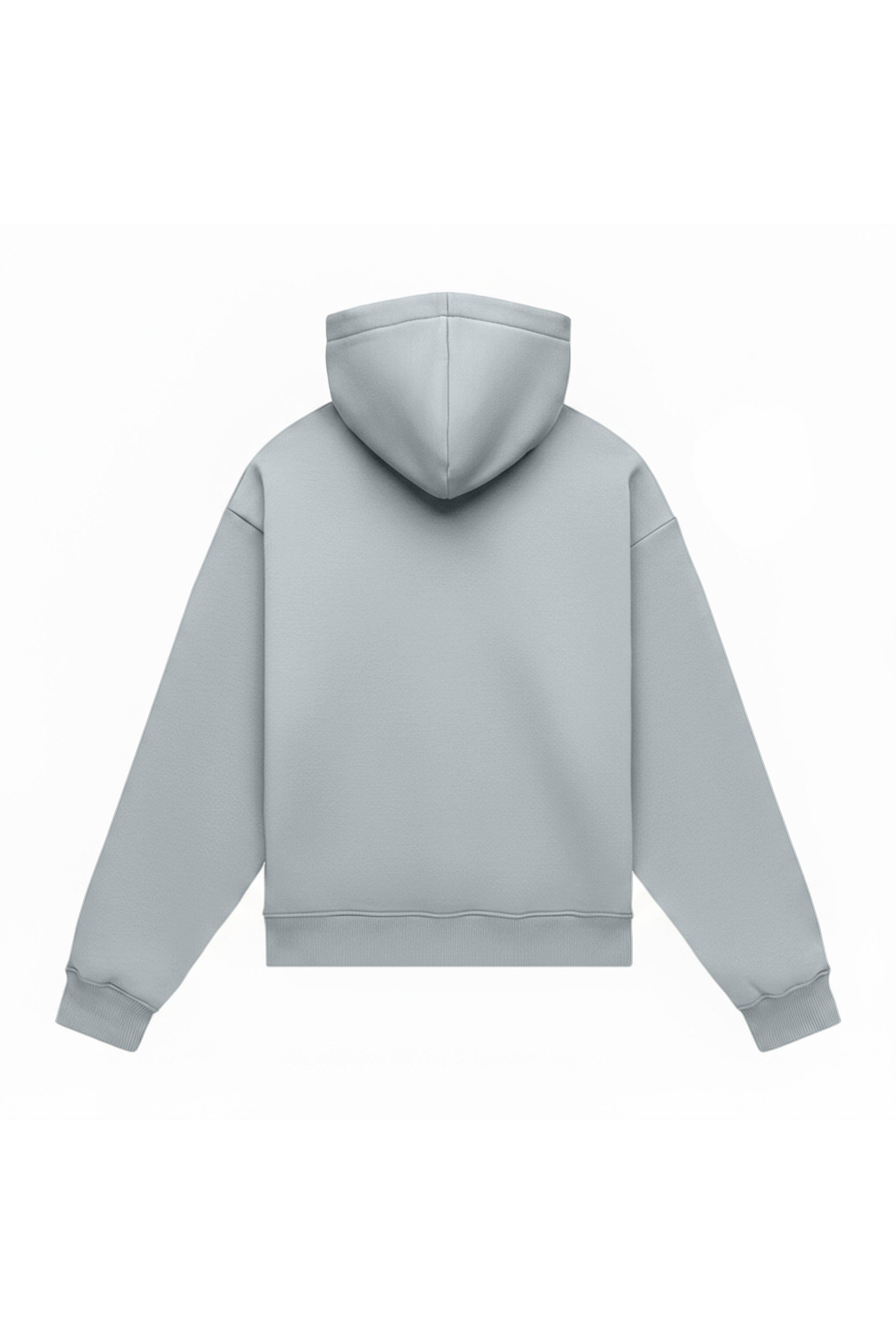 Hoodie oversize LIGHT BRUSHED GRAY