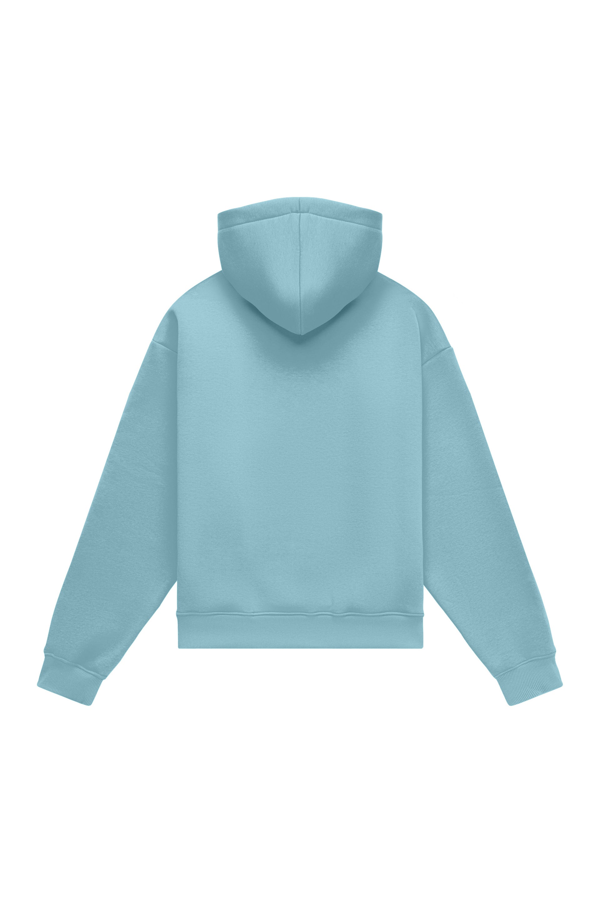 Hoodie oversize LIGHT BRUSHED LIGHT BLUE