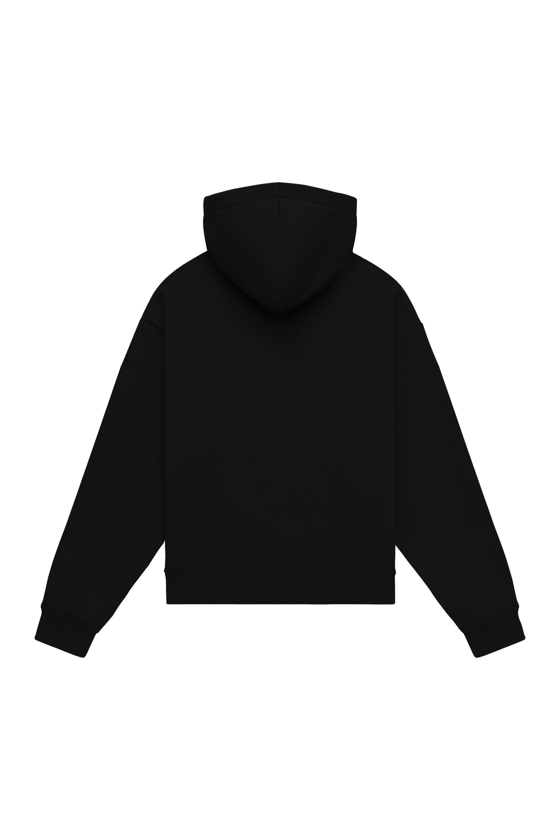 Hoodie oversize LIGHT BRUSHED BLACK