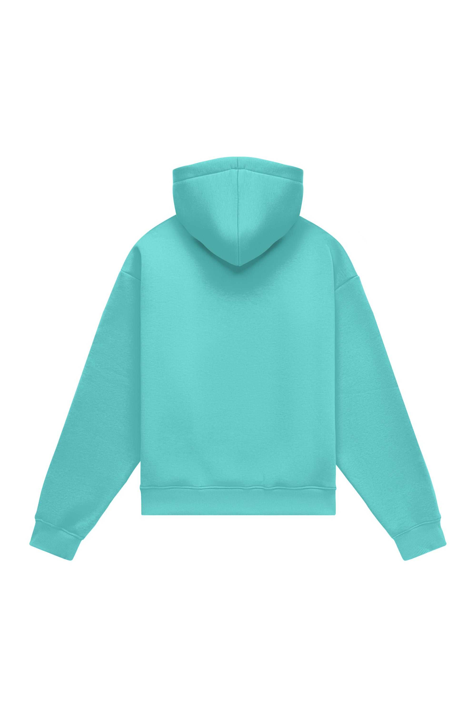 Hoodie oversize light brushed mint in Polish quality fabric ideal for printing