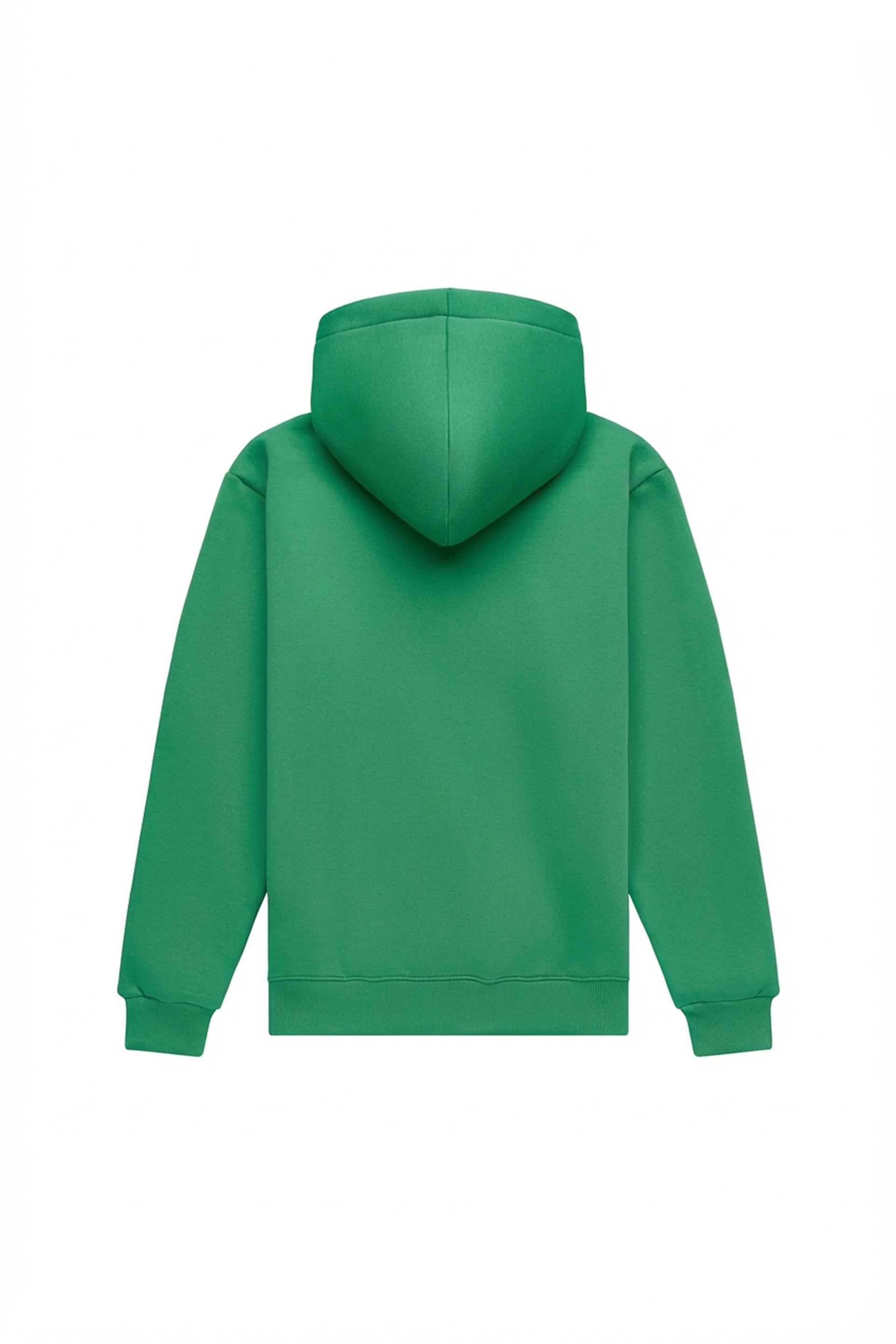 Hoodie regular LIGHT BRUSHED ABUNDANT GREEN