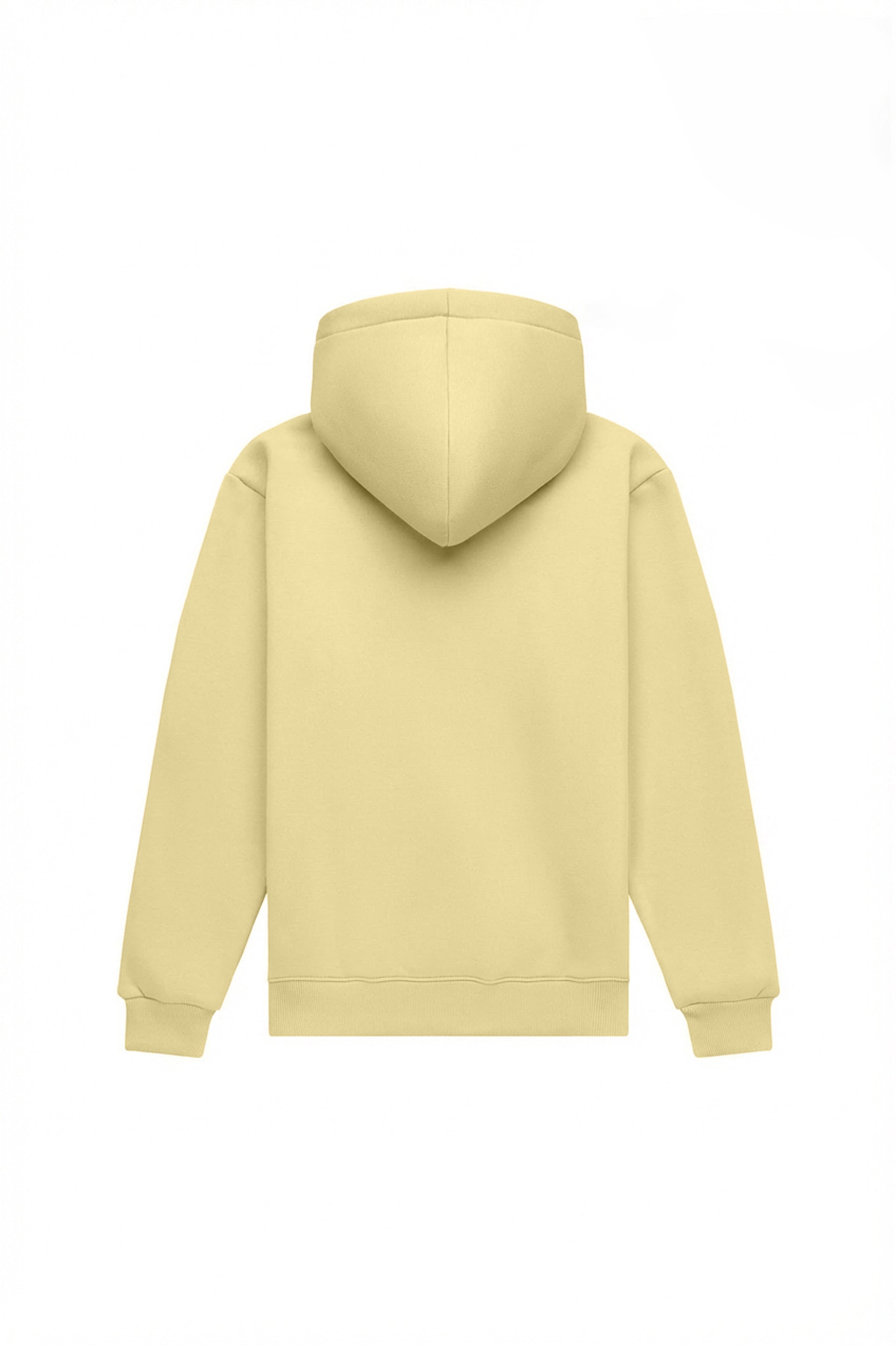 Hoodie regular MEDIUM BRUSHED B-002
