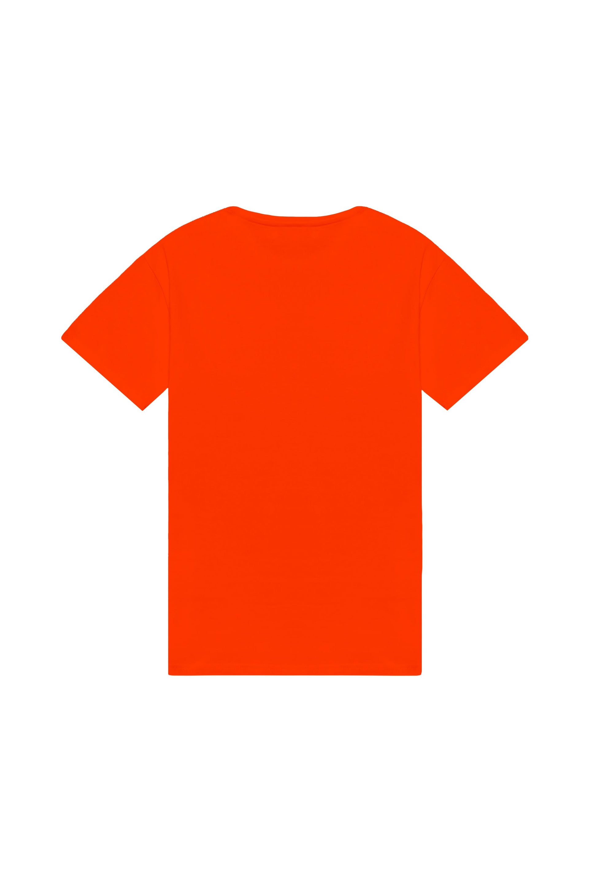 Regular fit T-shirt LIGHT B-014 made in Poland with OEKO-TEX certified fabric, suitable for printing and embroidery.