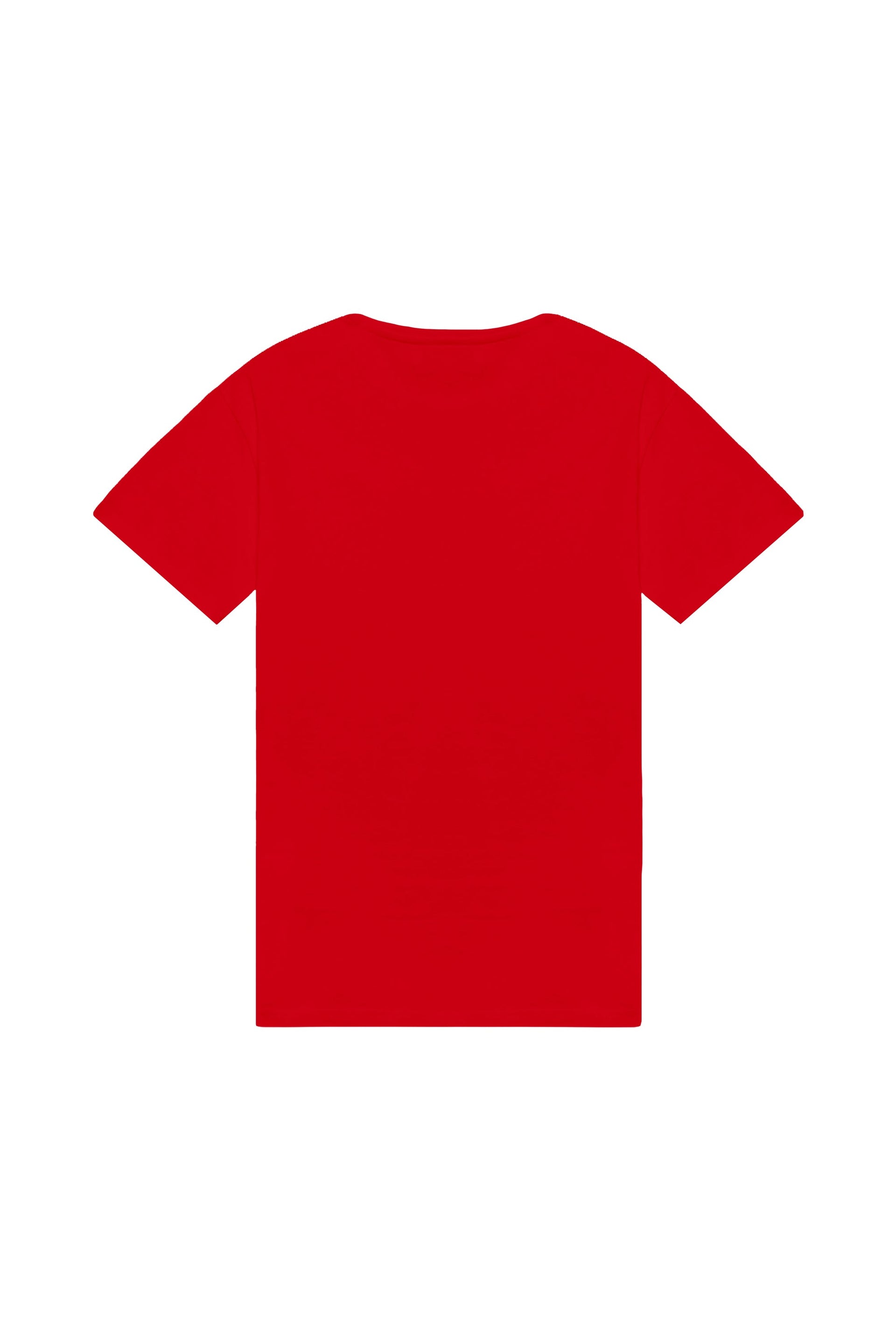 T-shirt regular light B-021 made in Poland with OEKO-TEX certified fabric ideal for printing and embroidery