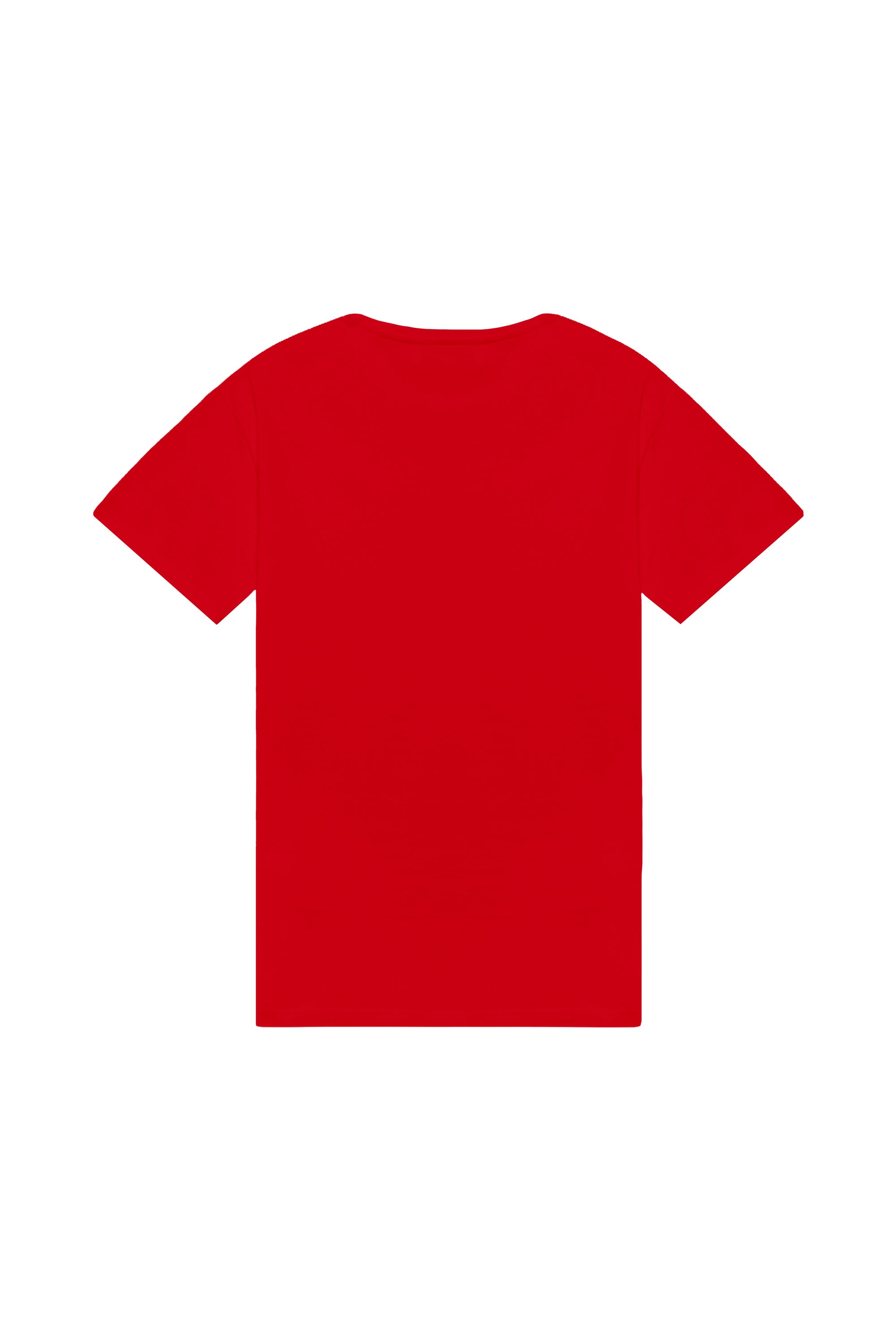 T-shirt regular light B-021 made in Poland with OEKO-TEX certified fabric ideal for printing and embroidery