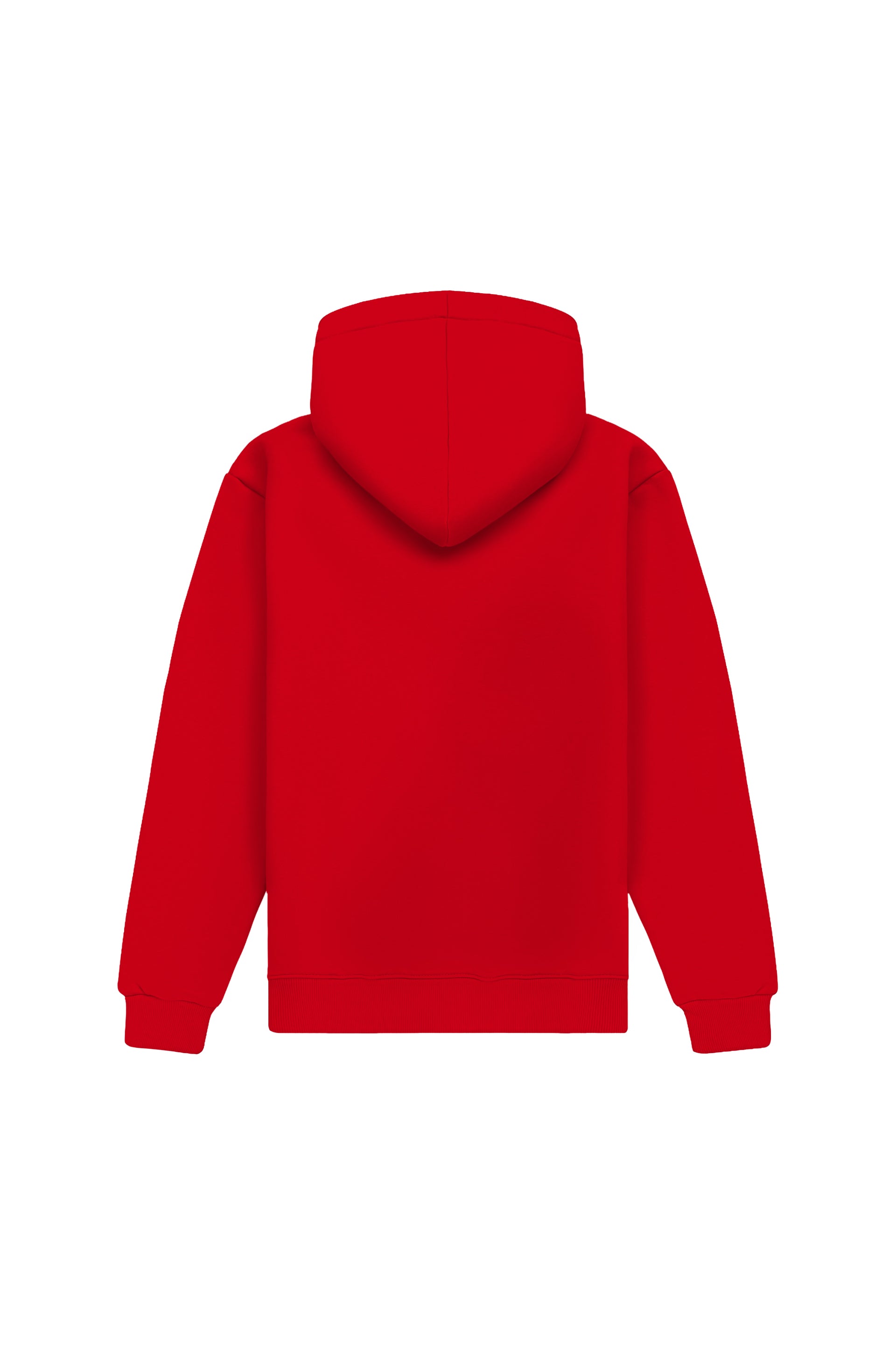Hoodie regular MEDIUM LOOP B-021