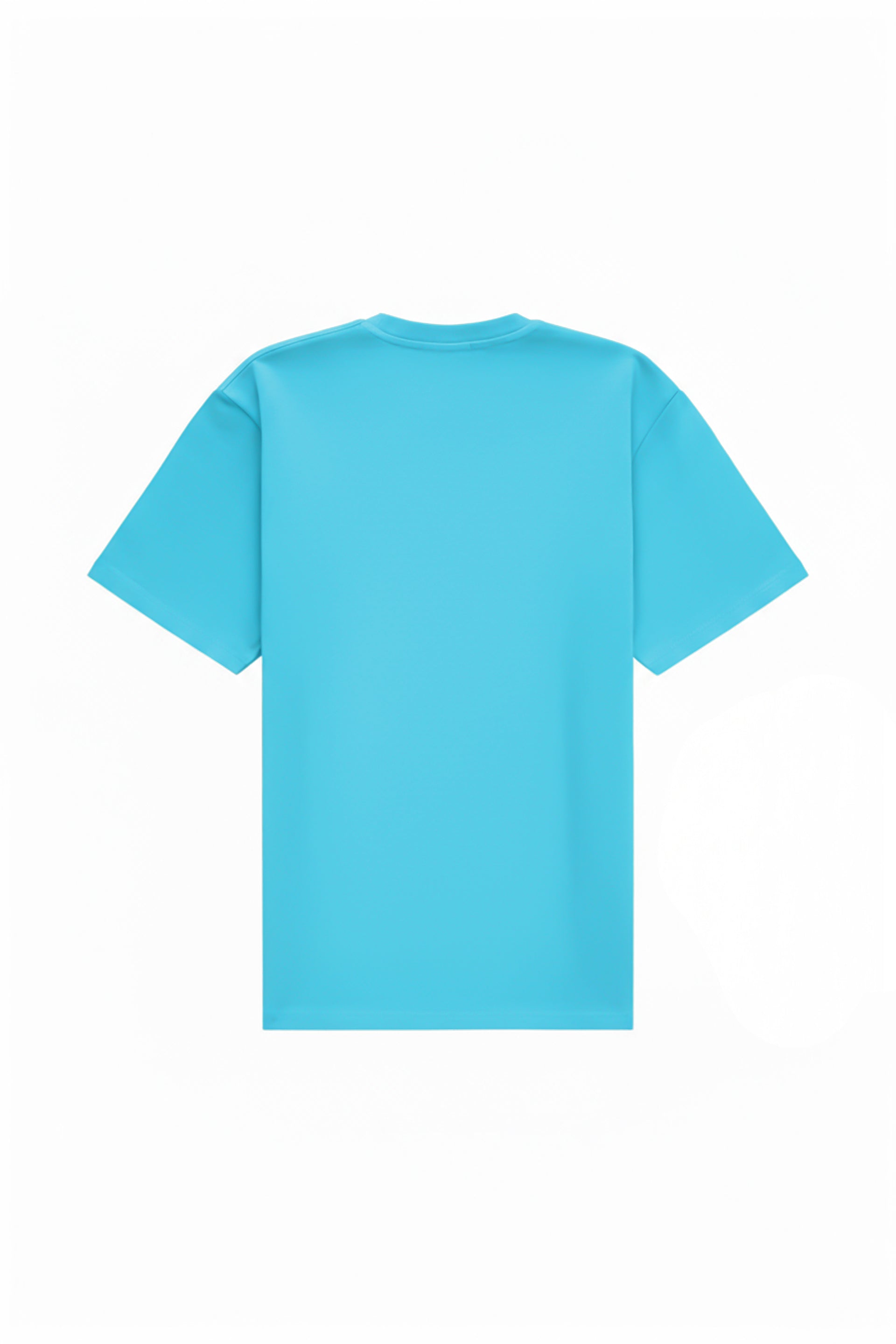 Oversized T-shirt in 2 variants